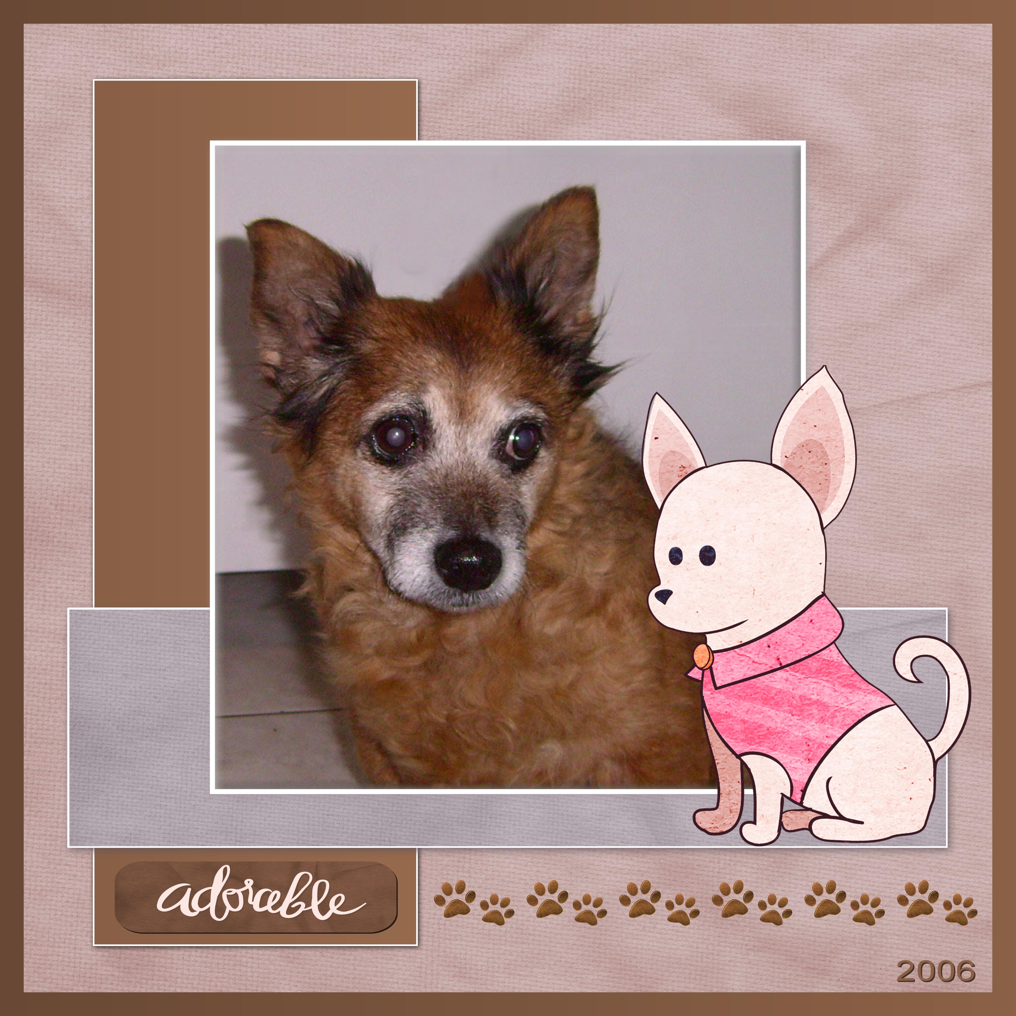 J-A233 - ADORABLE.jpg