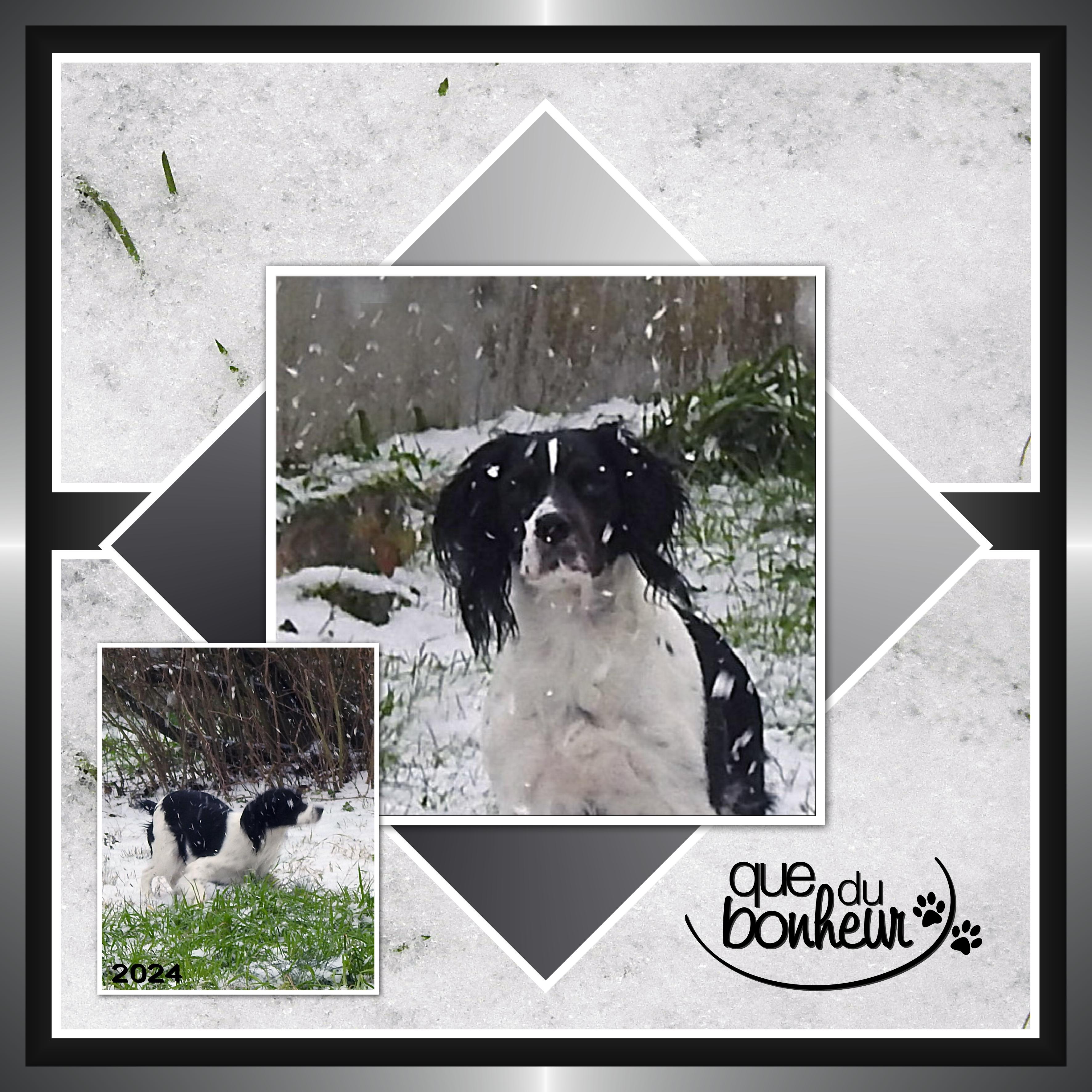 J-A234 - QUE DU BONHEUR.jpg