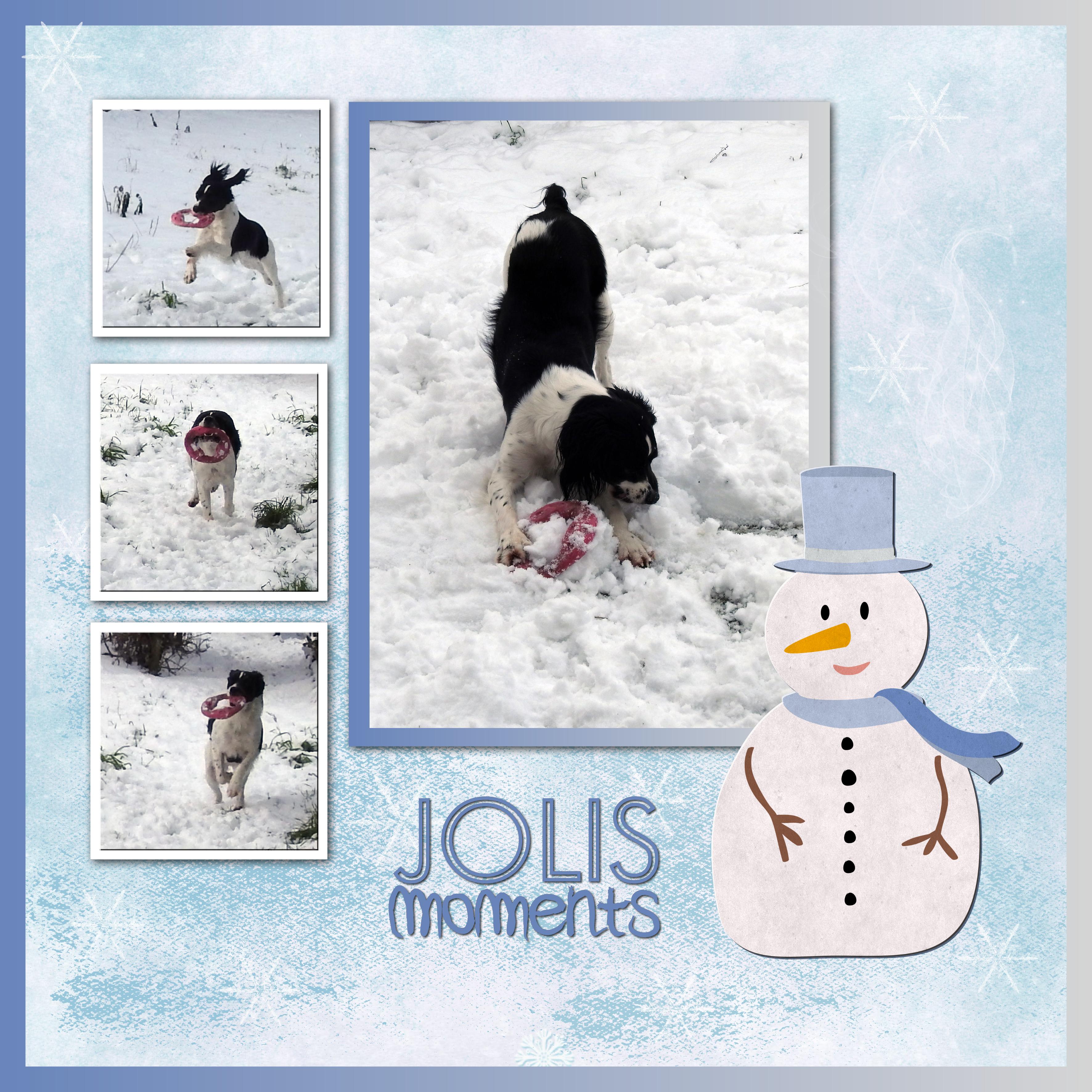 J-A235 - JOLIS MOMENTS.jpg