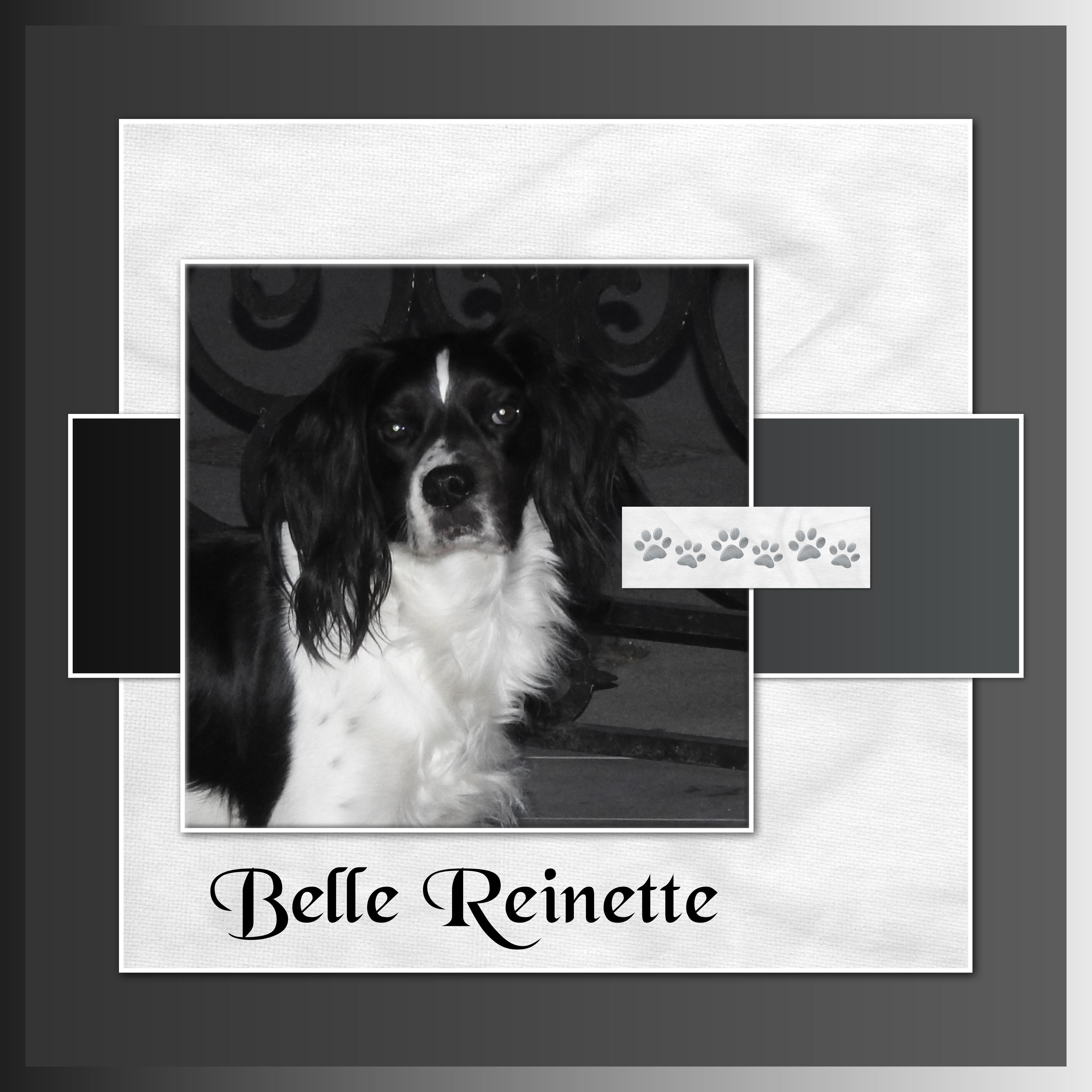 J-A239 - BELLE REINETTE.jpg