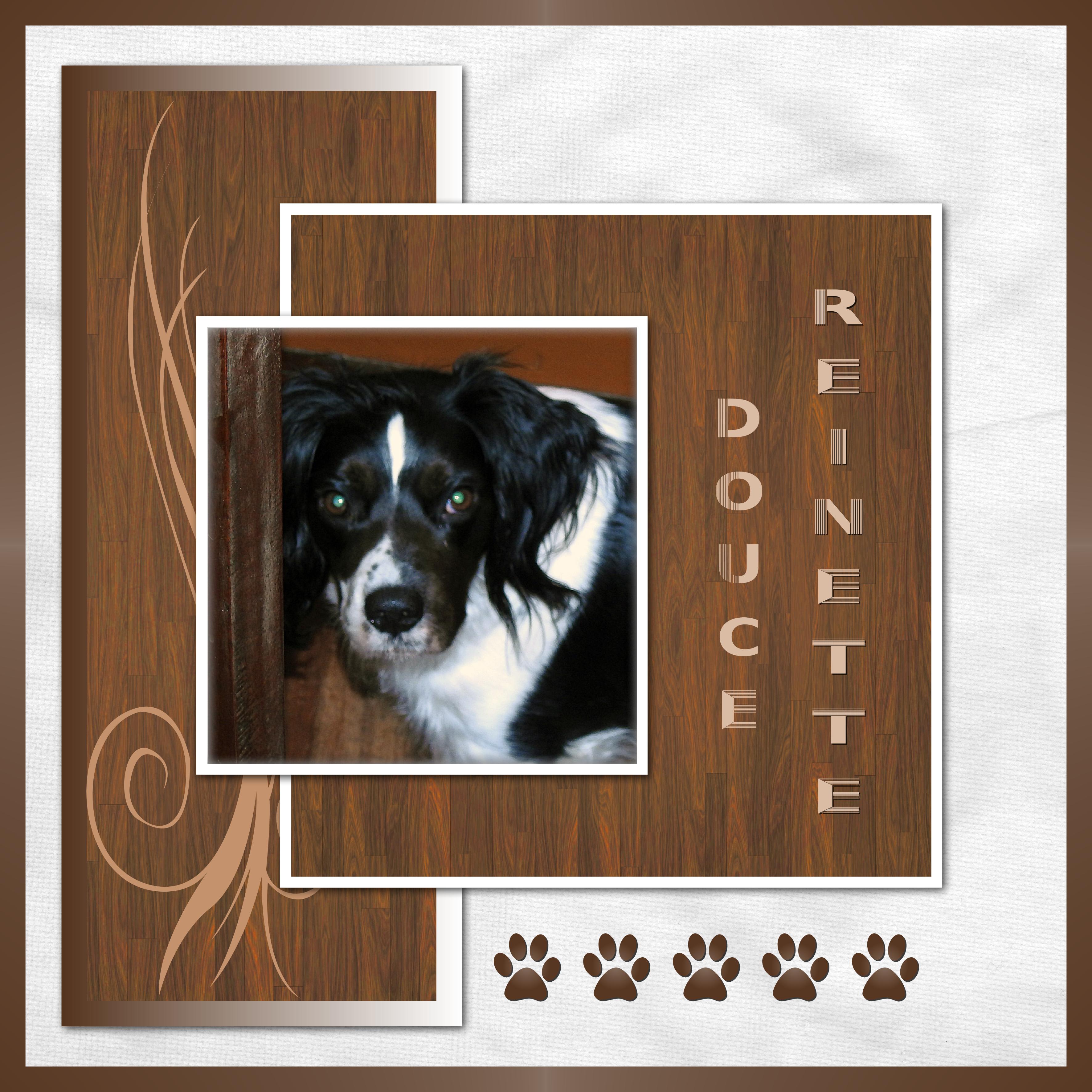 J-A248 - DOUCE REINETTE.jpg