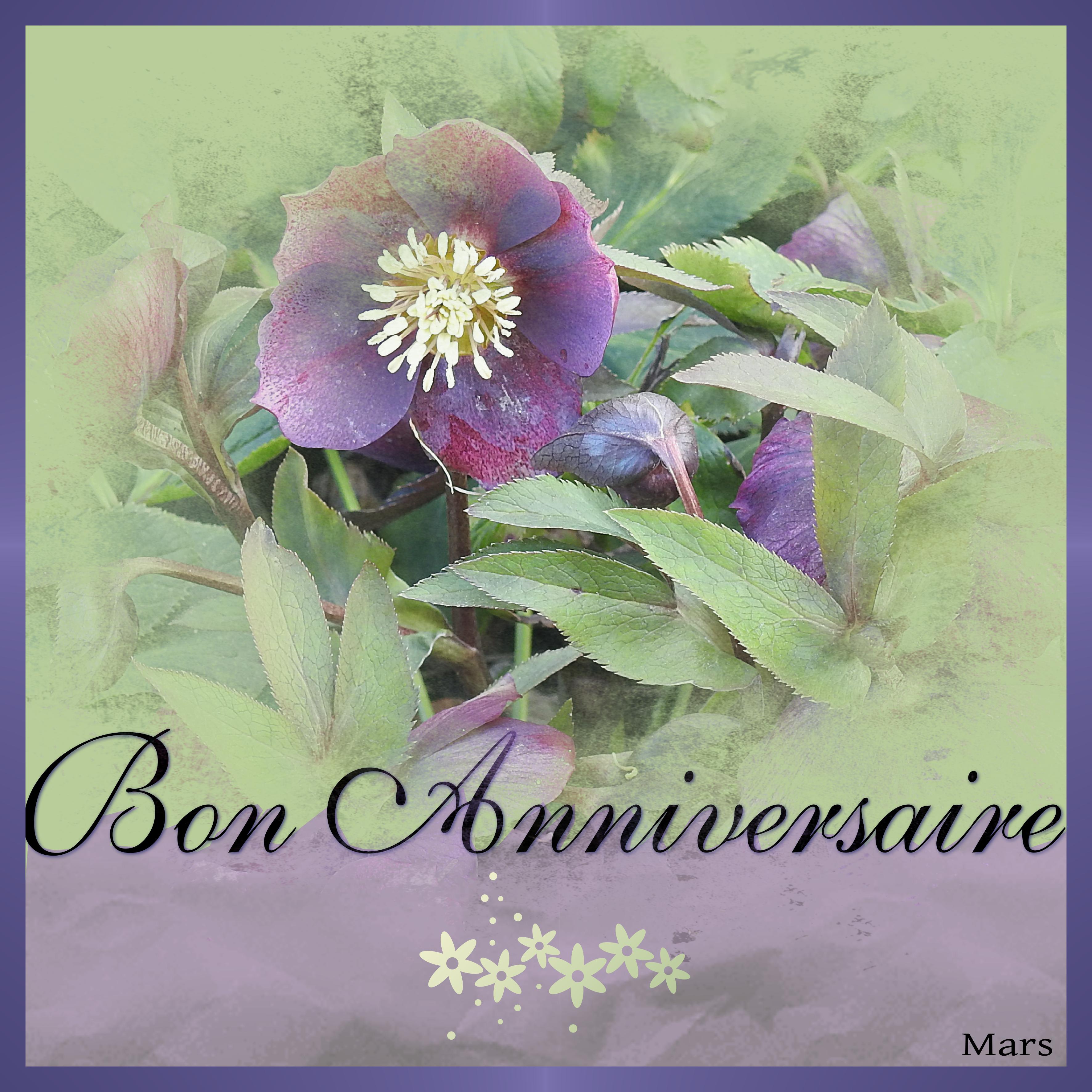 J-a25 - ANNIVERSAIRES DE MARS.jpg