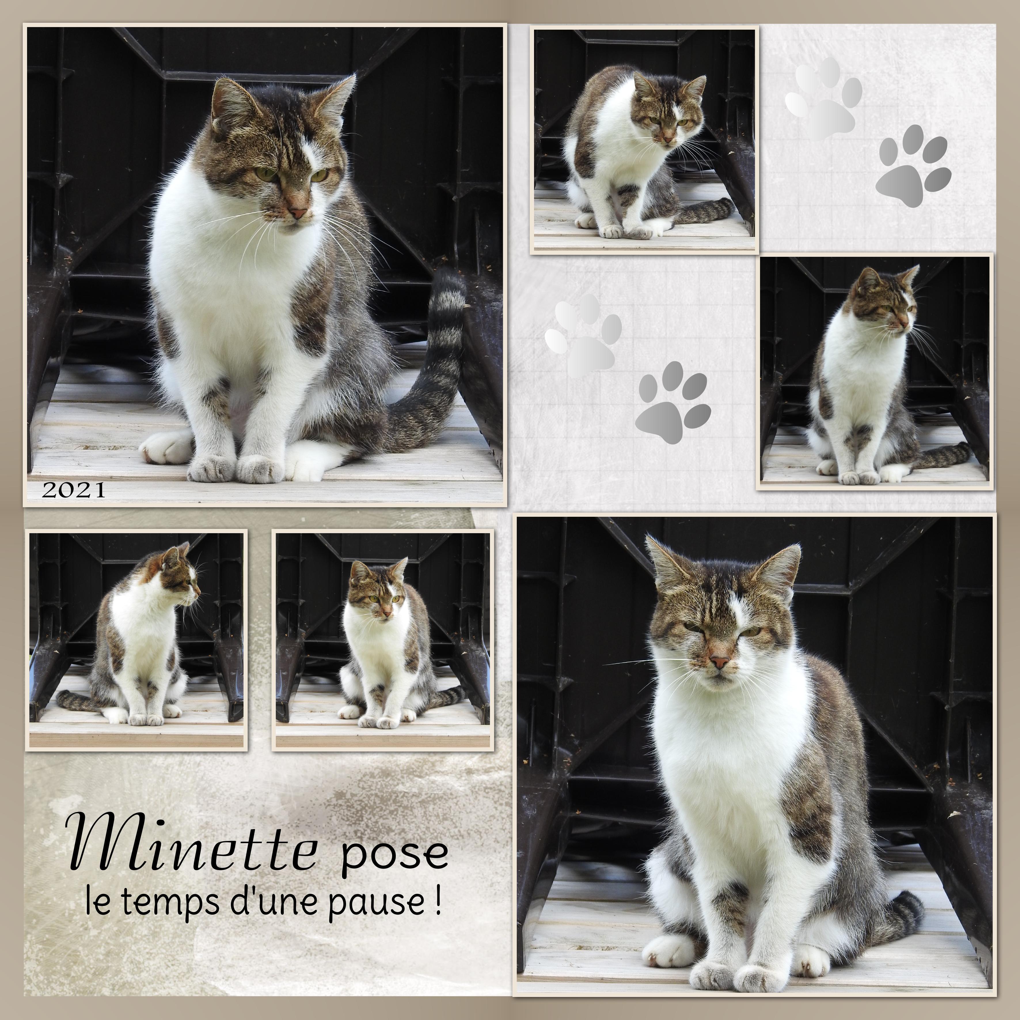 J-A25 - MINETTE POSE ....jpg