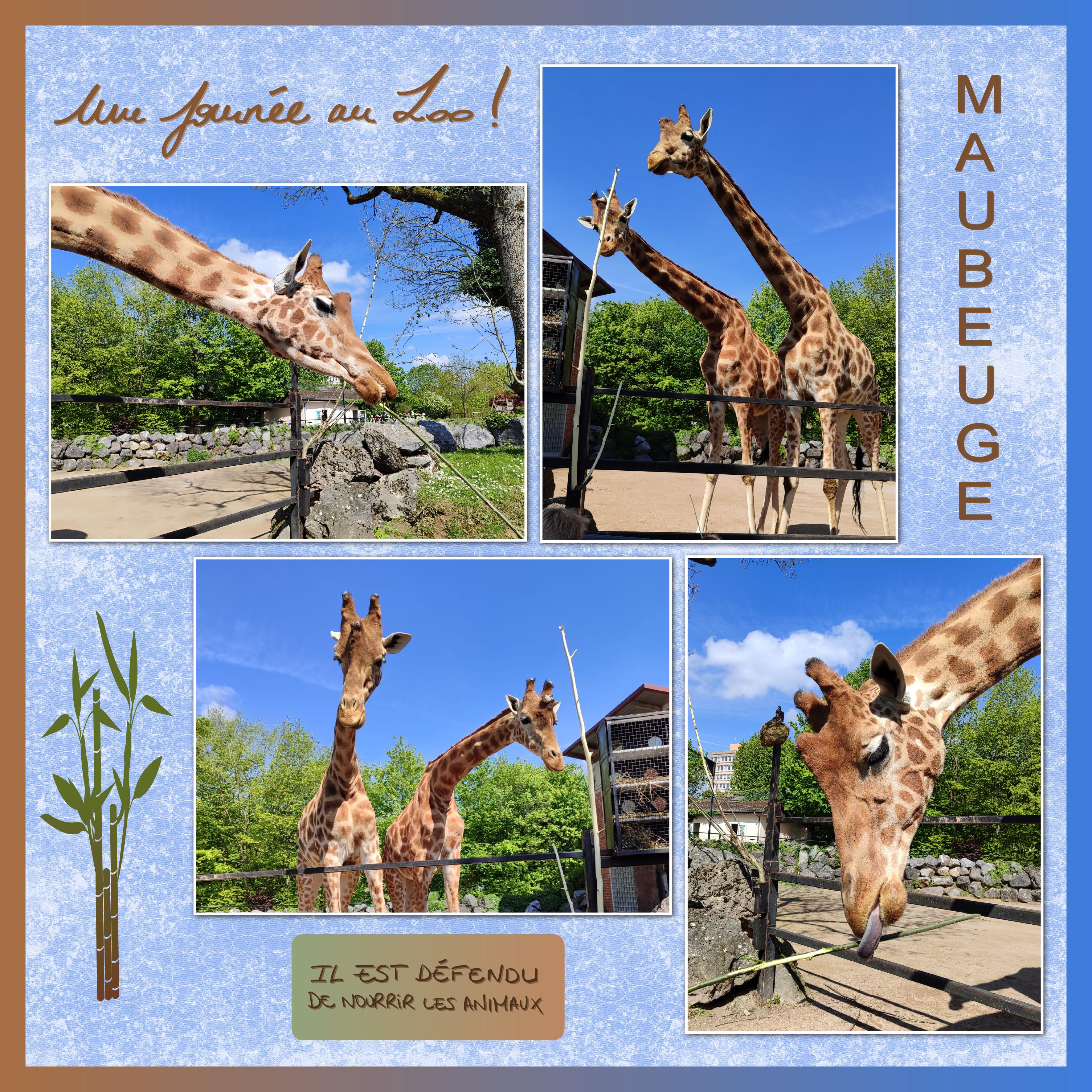 J-A269 - ZOO DE MAUBEUGE.jpg