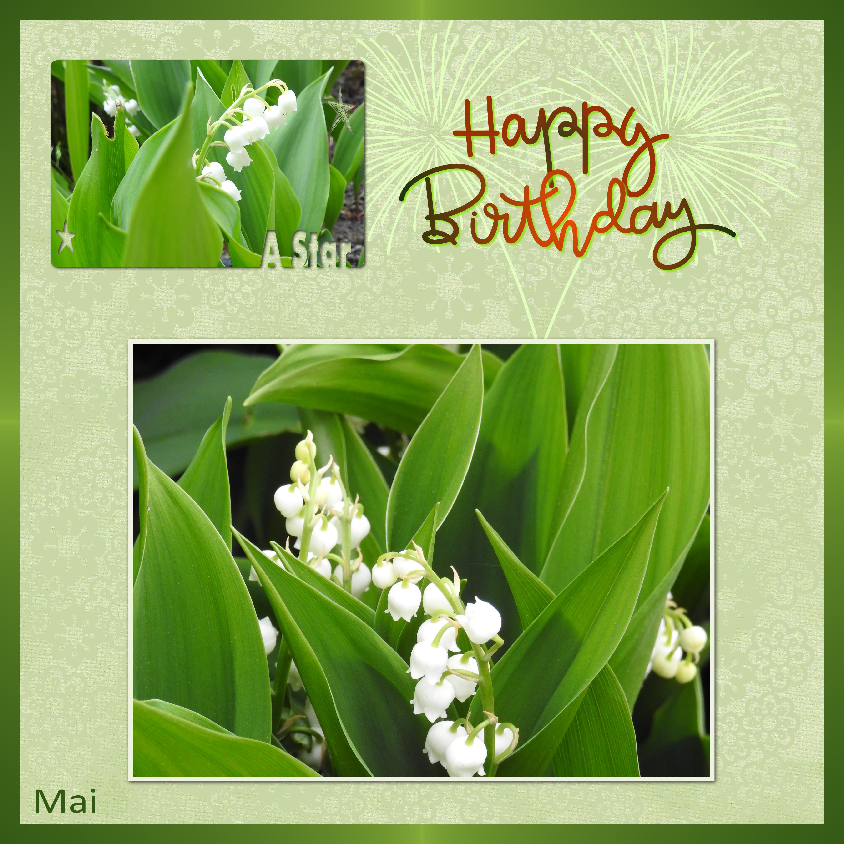 J-a27 - ANNIVERSAIRES DE MAI.jpg