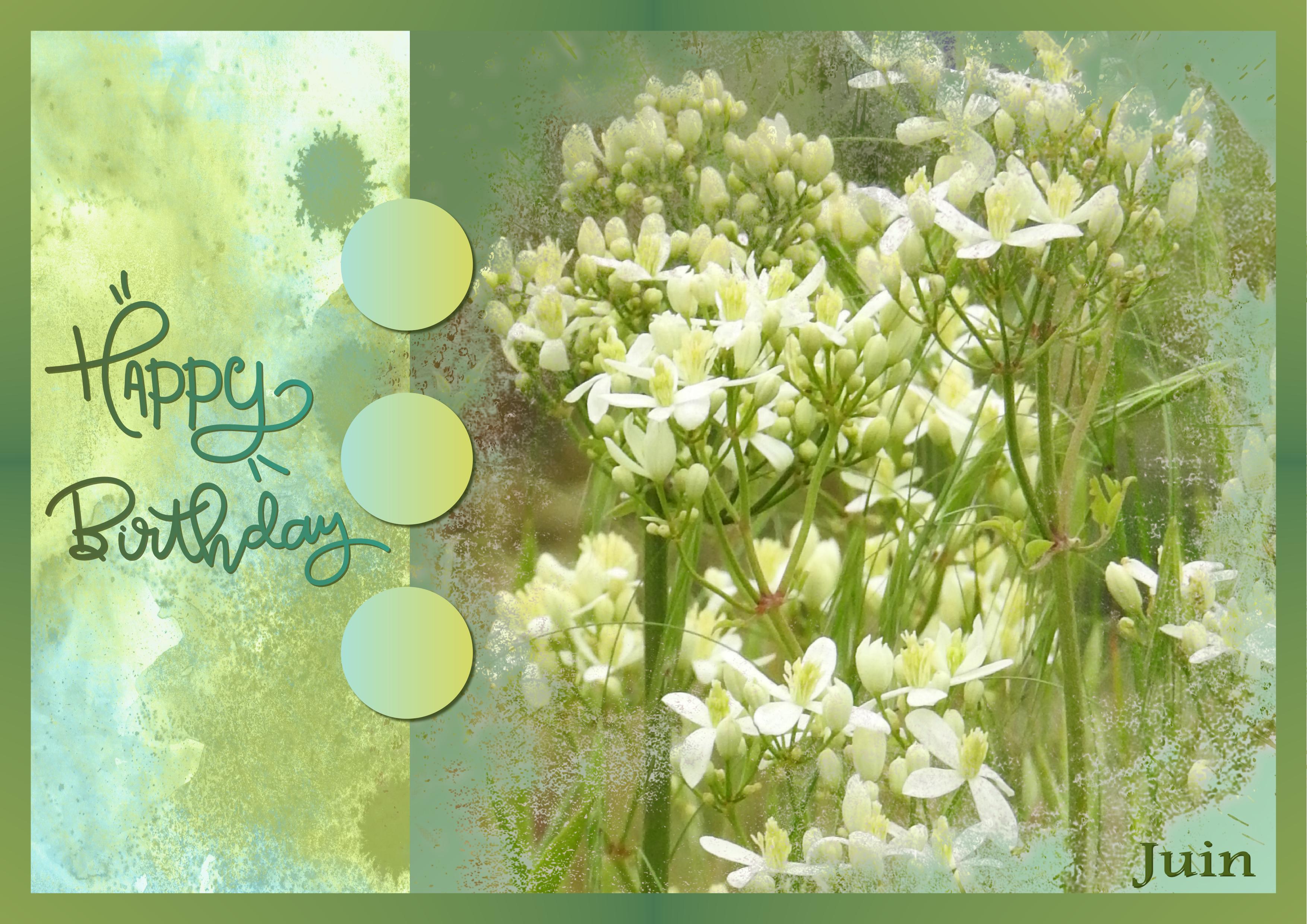 J-a28 - ANNIVERSAIRES DE JUIN.jpg