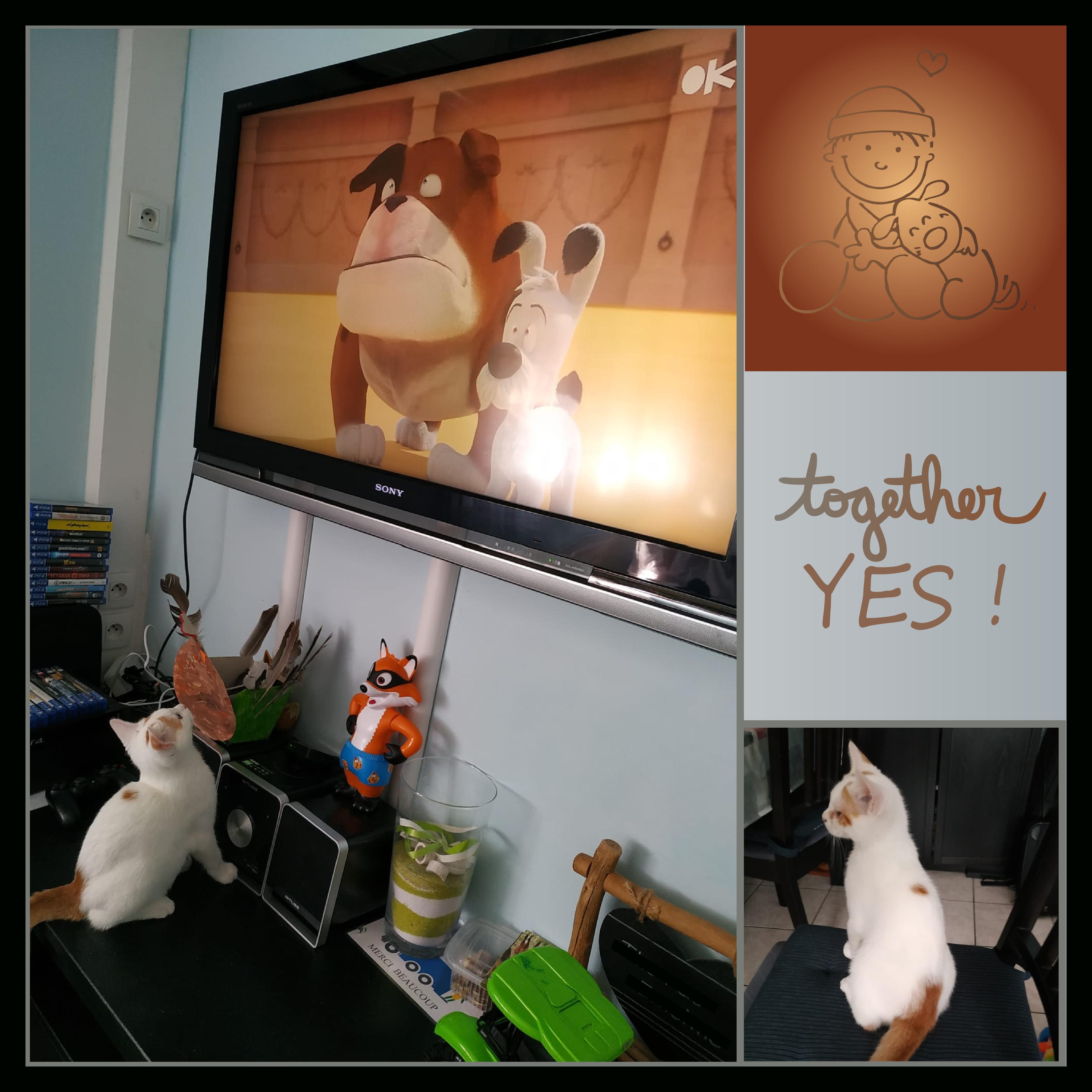 J-A29 - ENSEMBLE YES.jpg