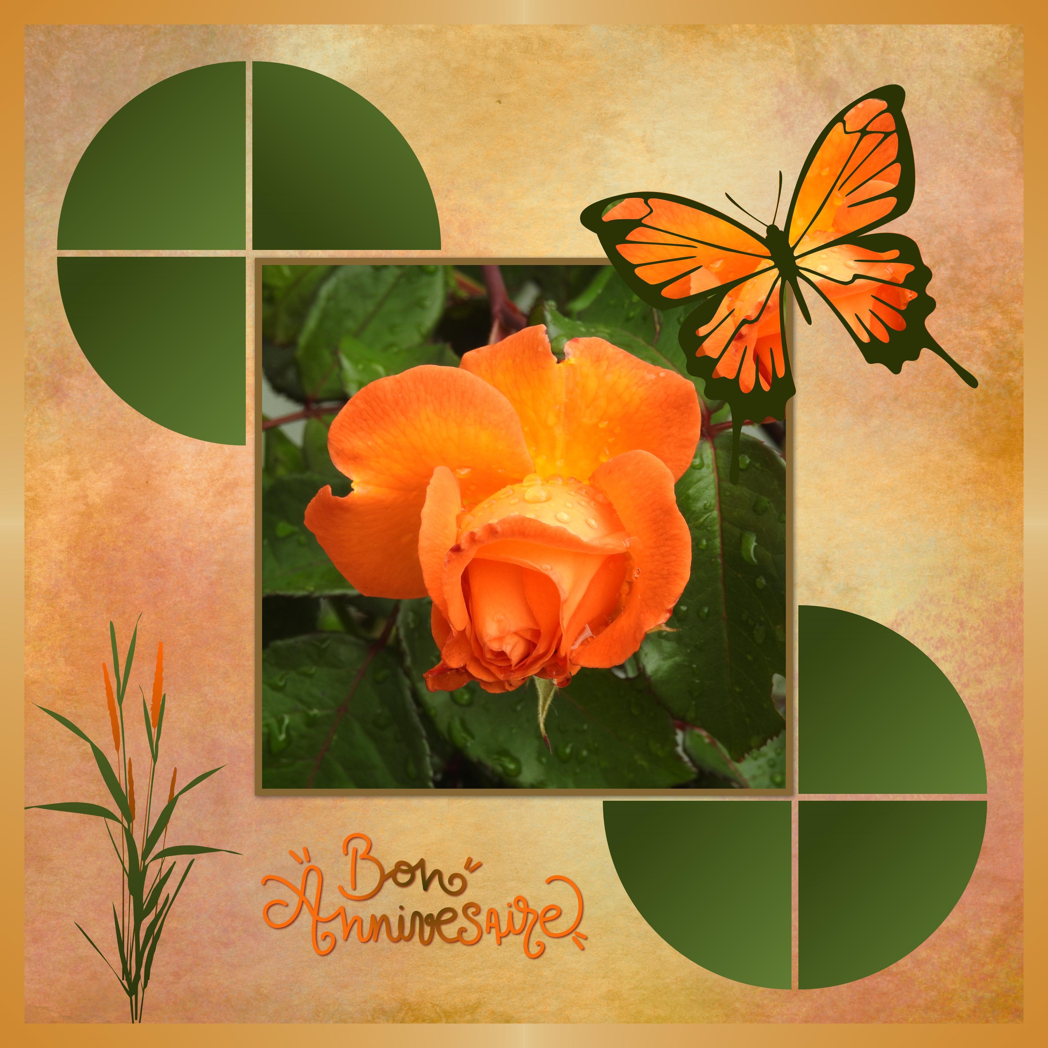 J-a30 - BON ANNIVERSAIRE.jpg