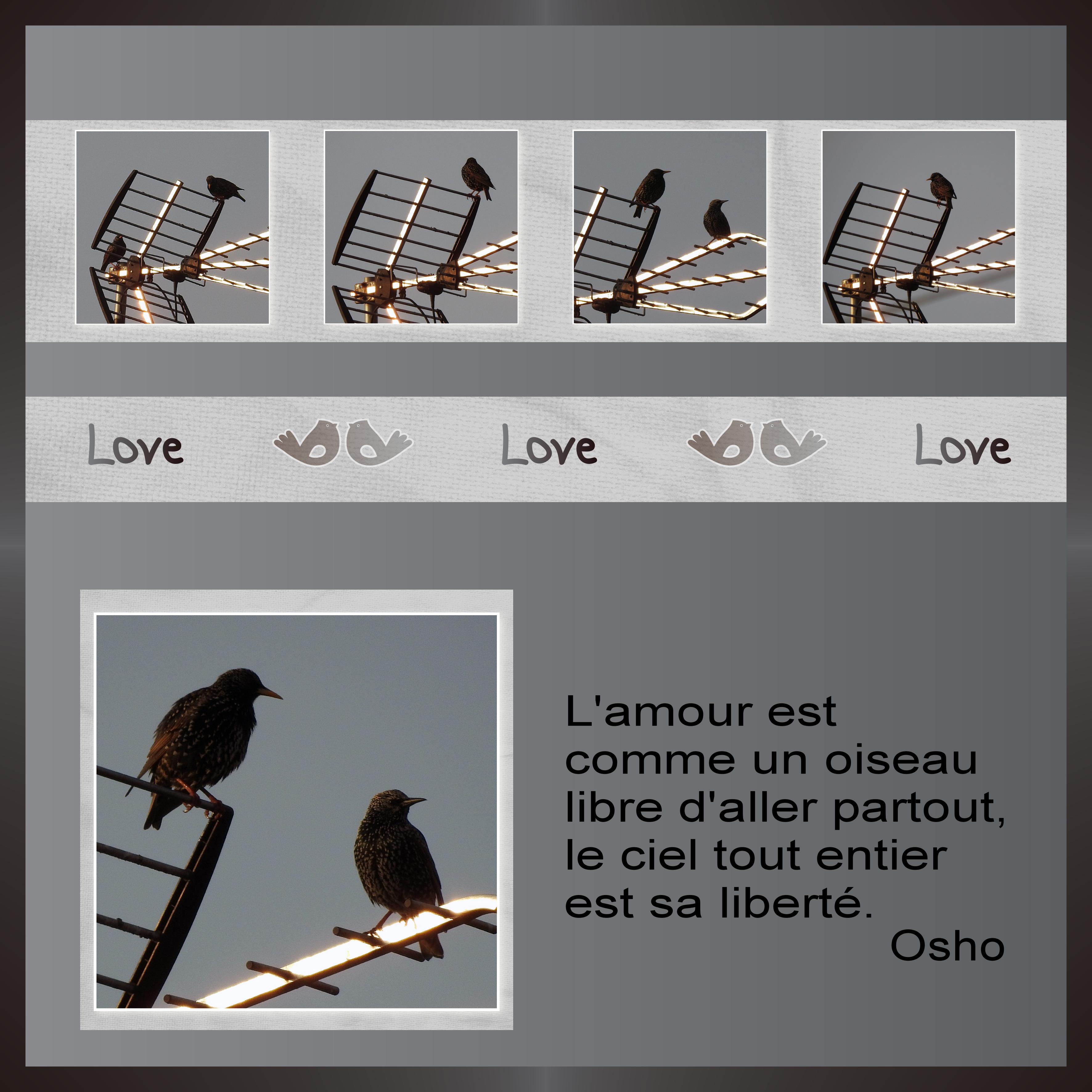 J-A30 - L'AMOUR.jpg