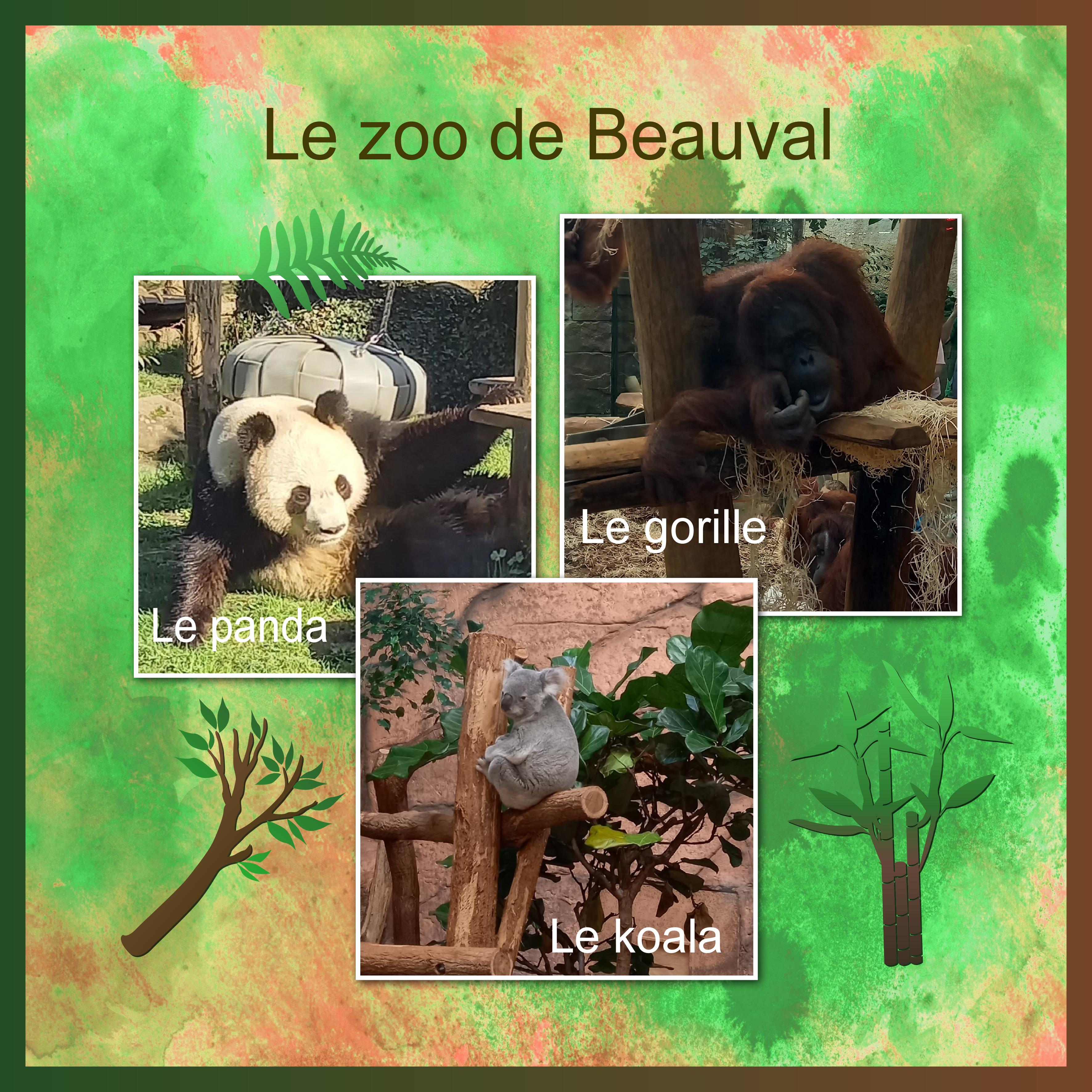 J-A31 - LE ZOO DE BEAUVAL.jpg