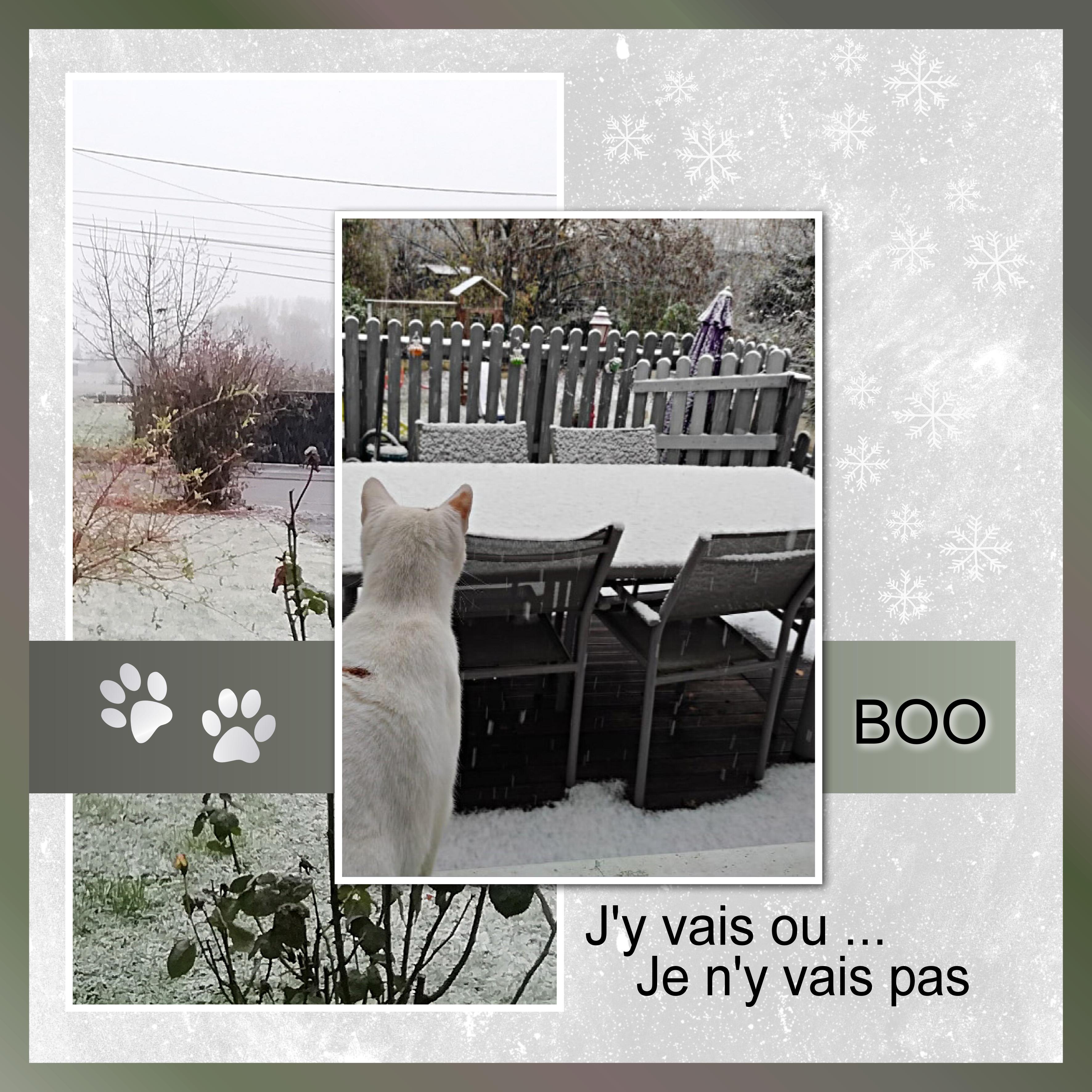 J-A32 - BOO-J'Y VAIS.jpg