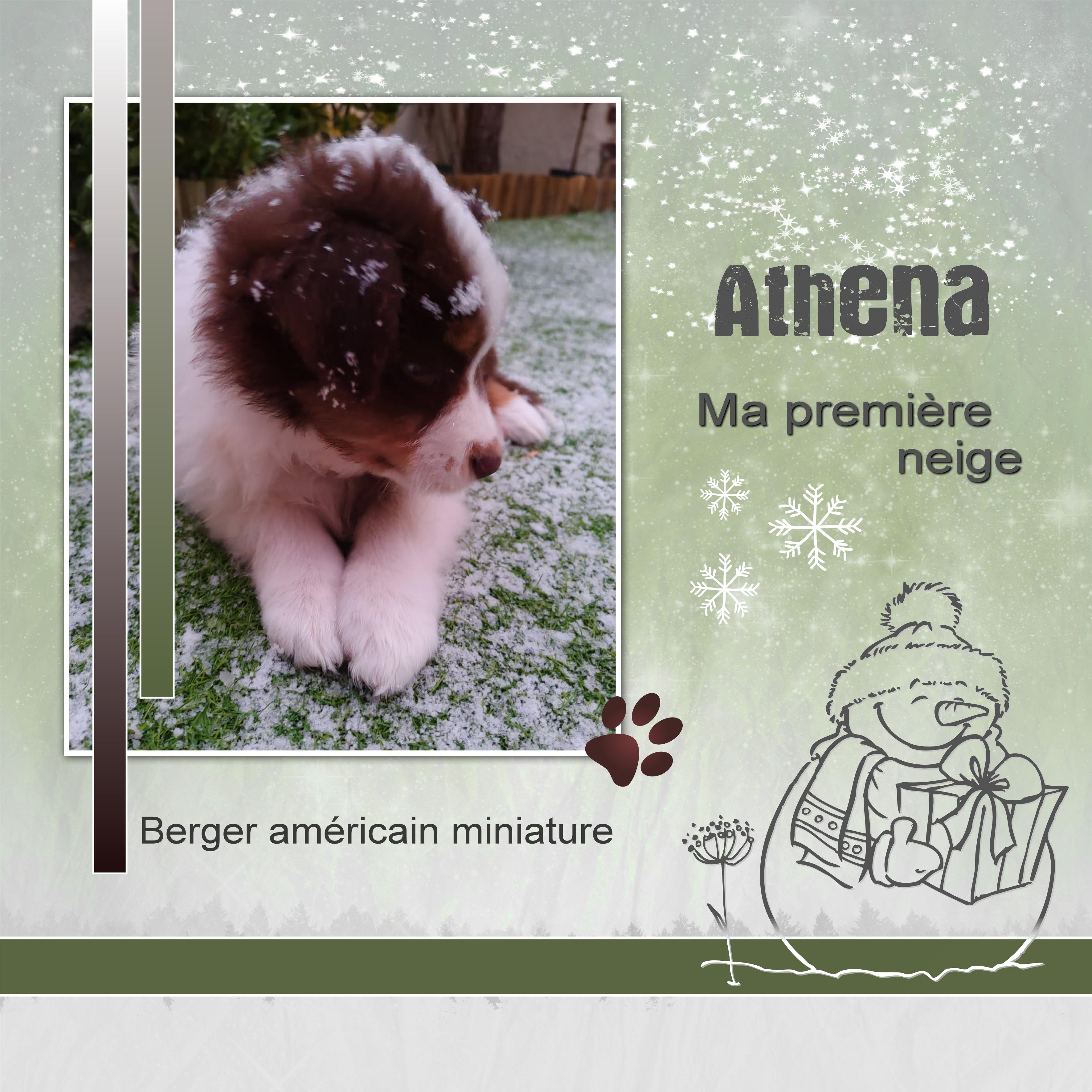 J-A324 - MA PREMIERE NEIGE.jpg