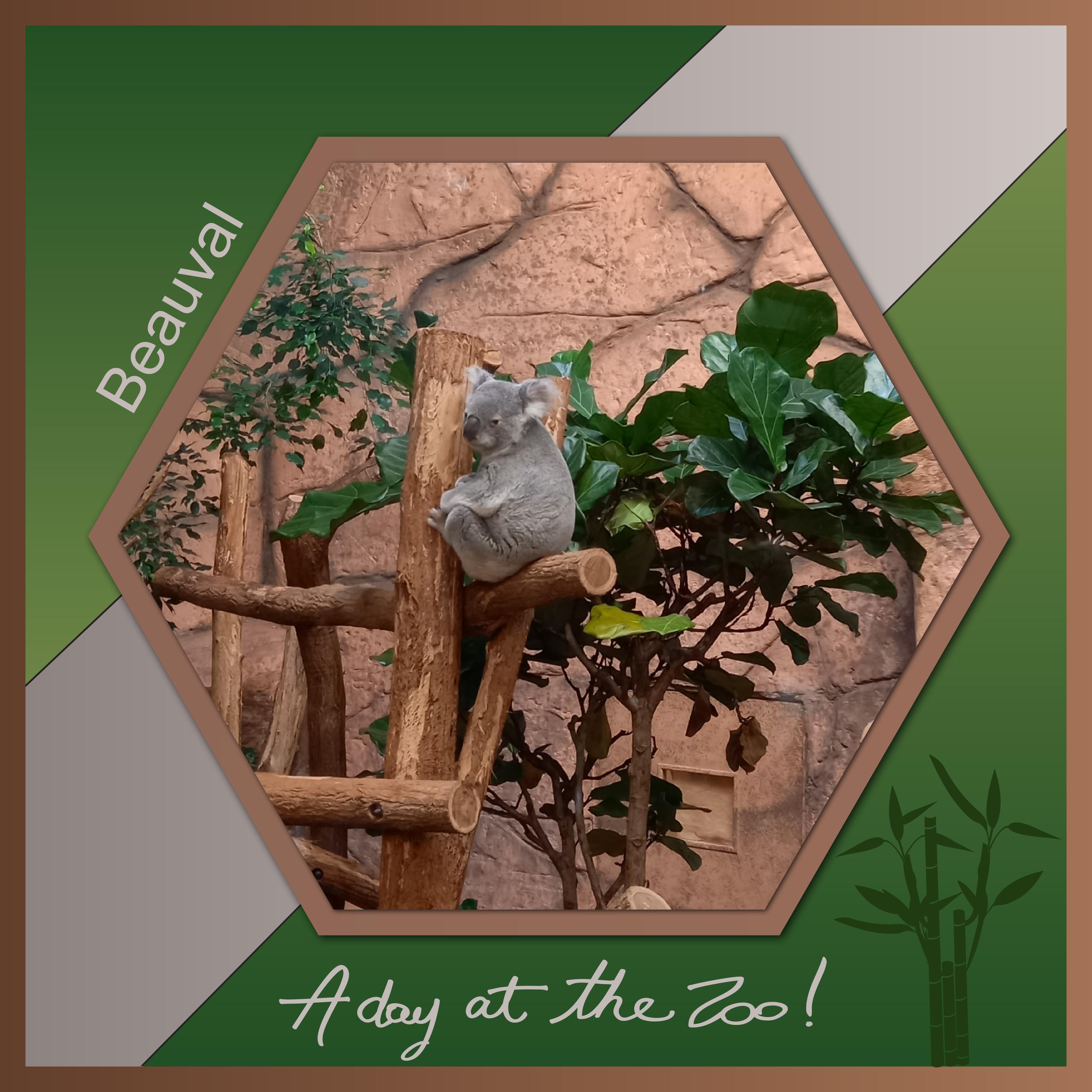 J-A325 - A DAY AT THE ZOO.jpg