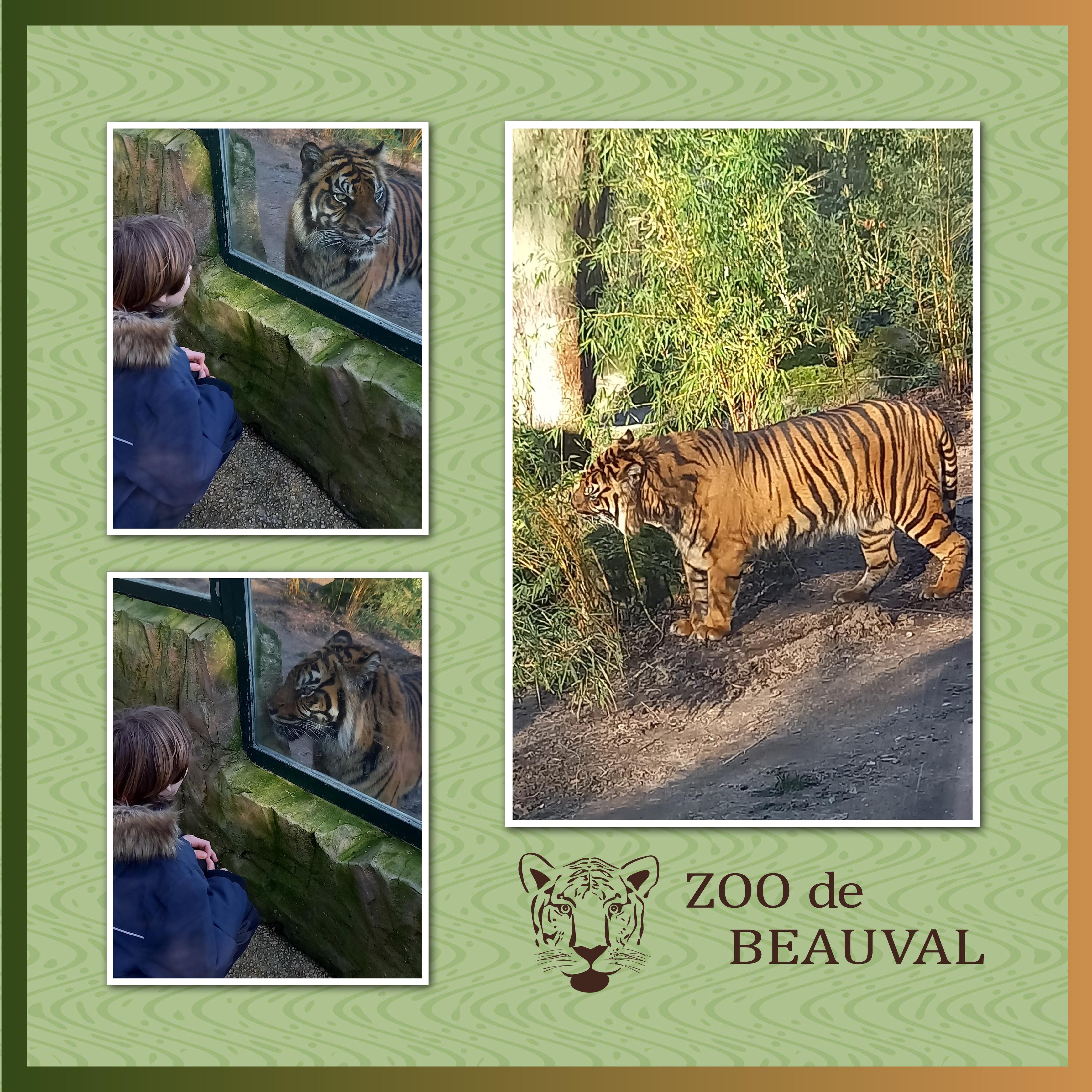 J-A328 - ZOO DE BEAUVAL.jpg