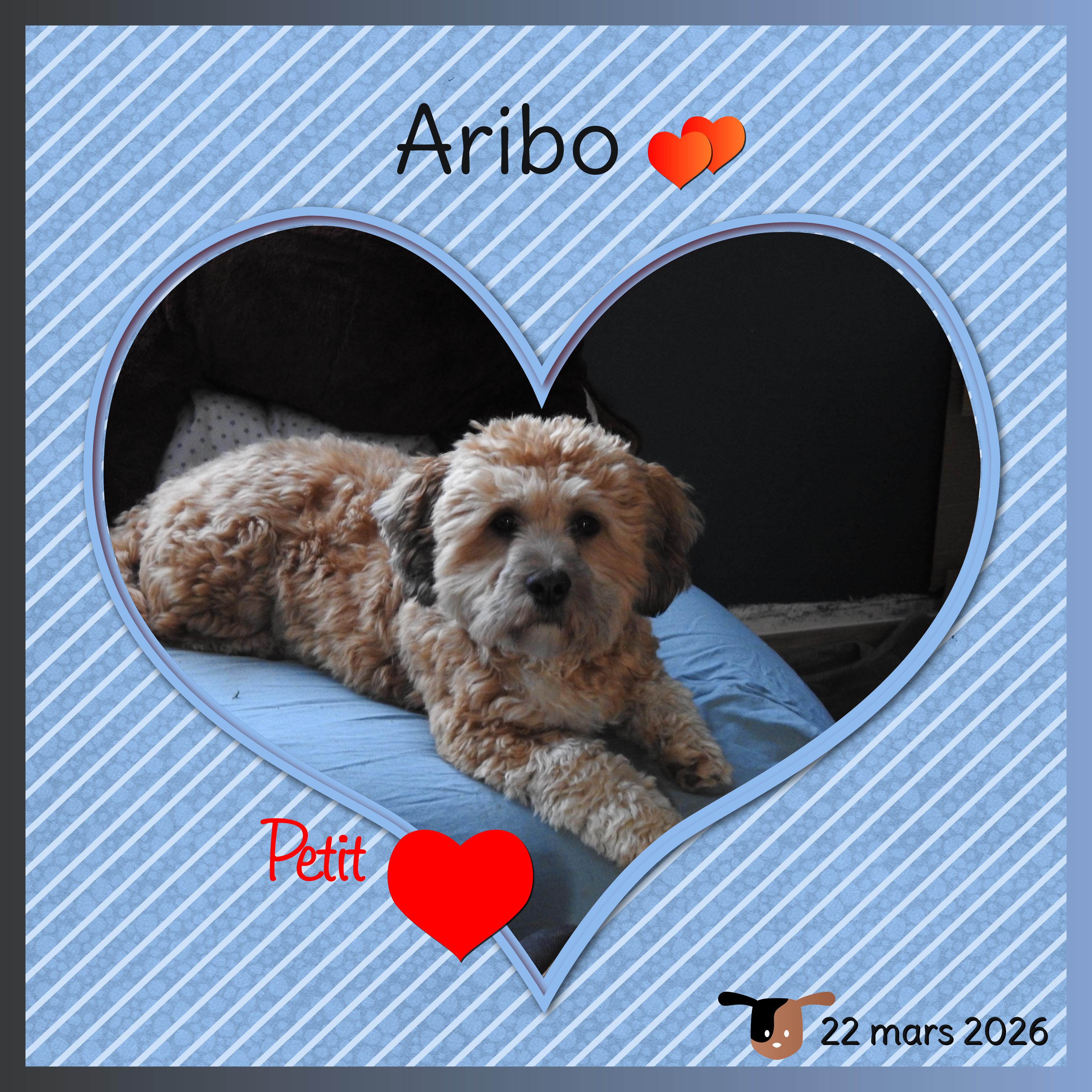 J-A335 - ARIBO PETIT COEUR.jpg