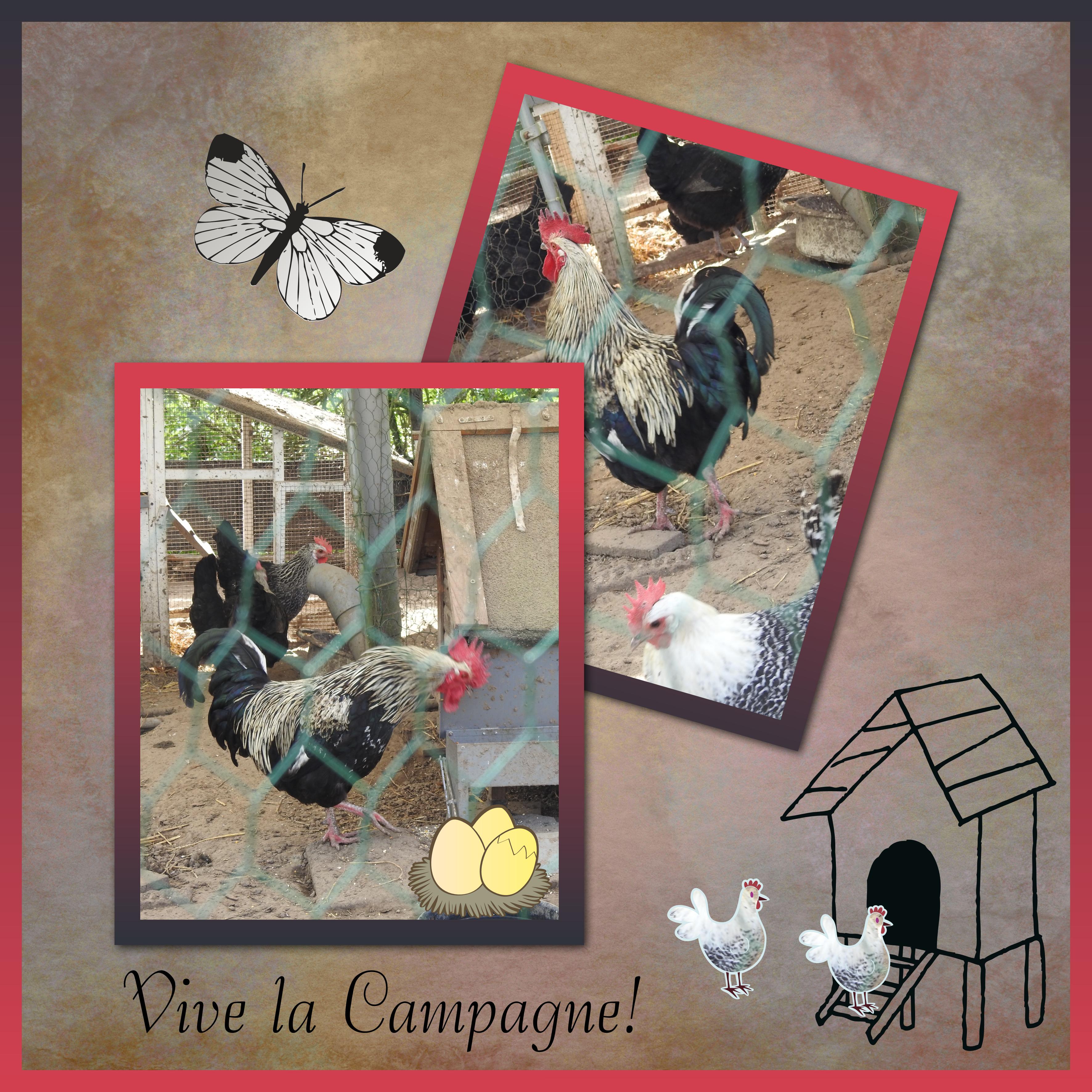 J-A337 - VIVE LA CAMPAGNE.jpg