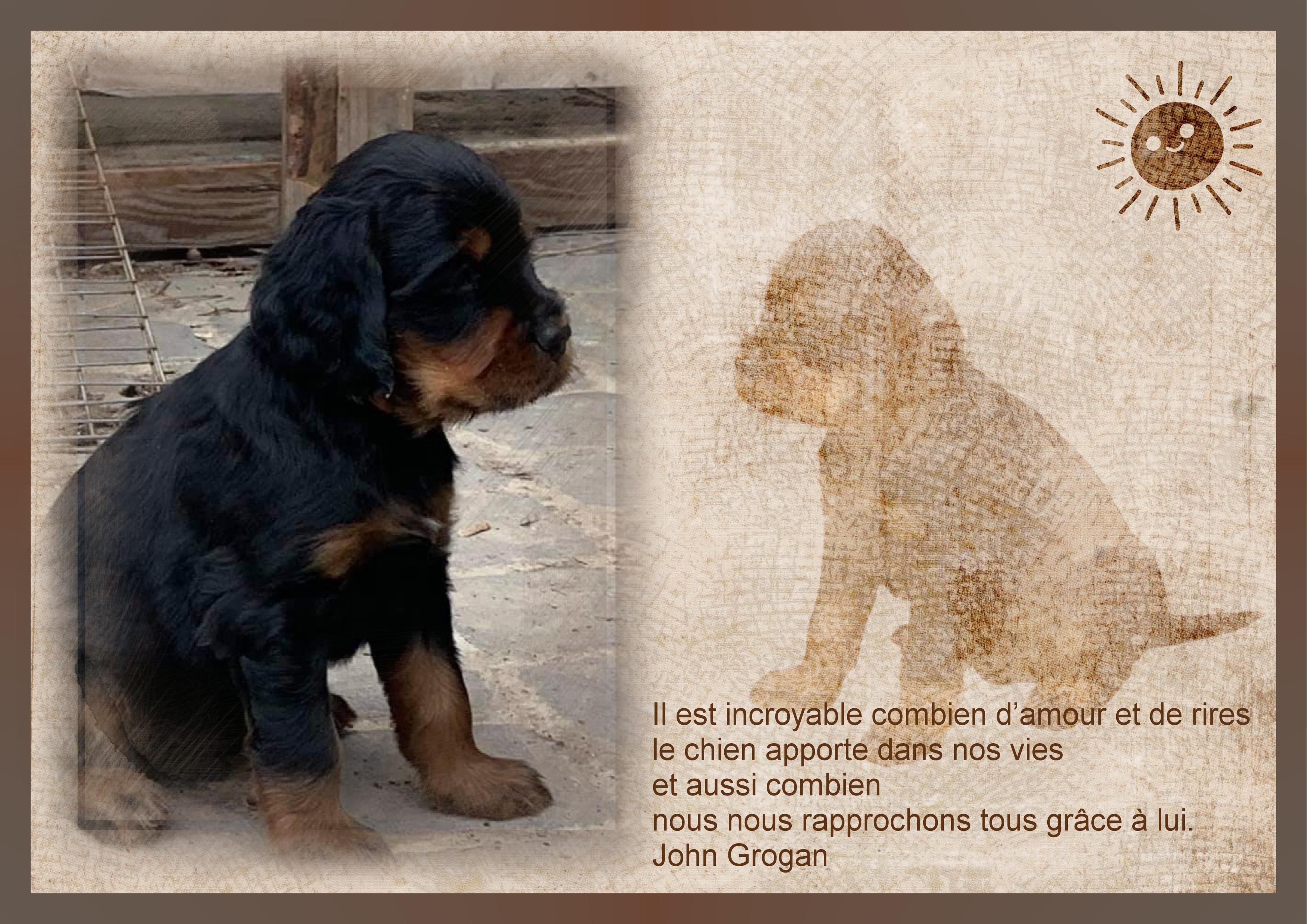 J-A34 - COMBIEN D'AMOUR ET DE RIRES.jpg