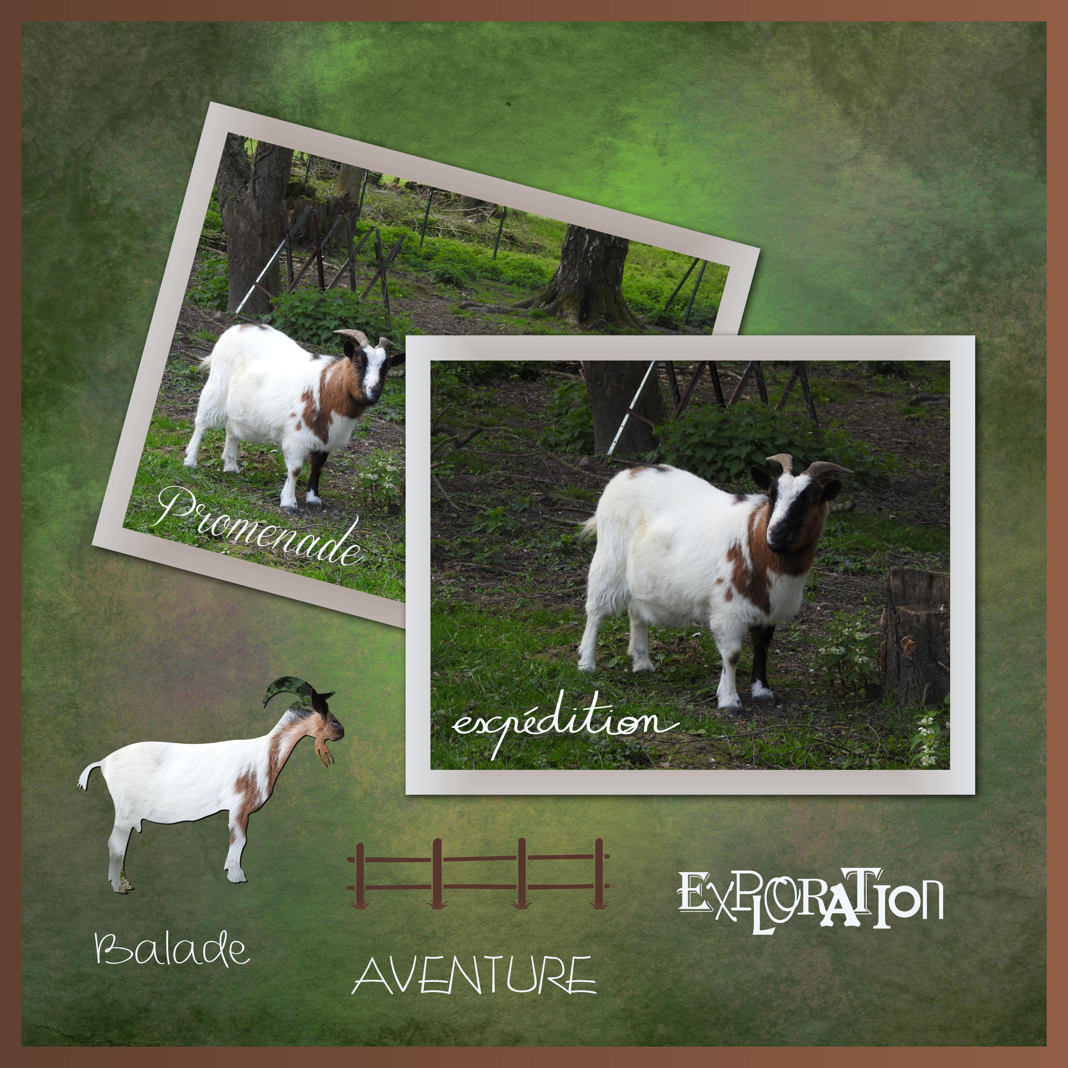 J-A36 - EXPLORATION.jpg