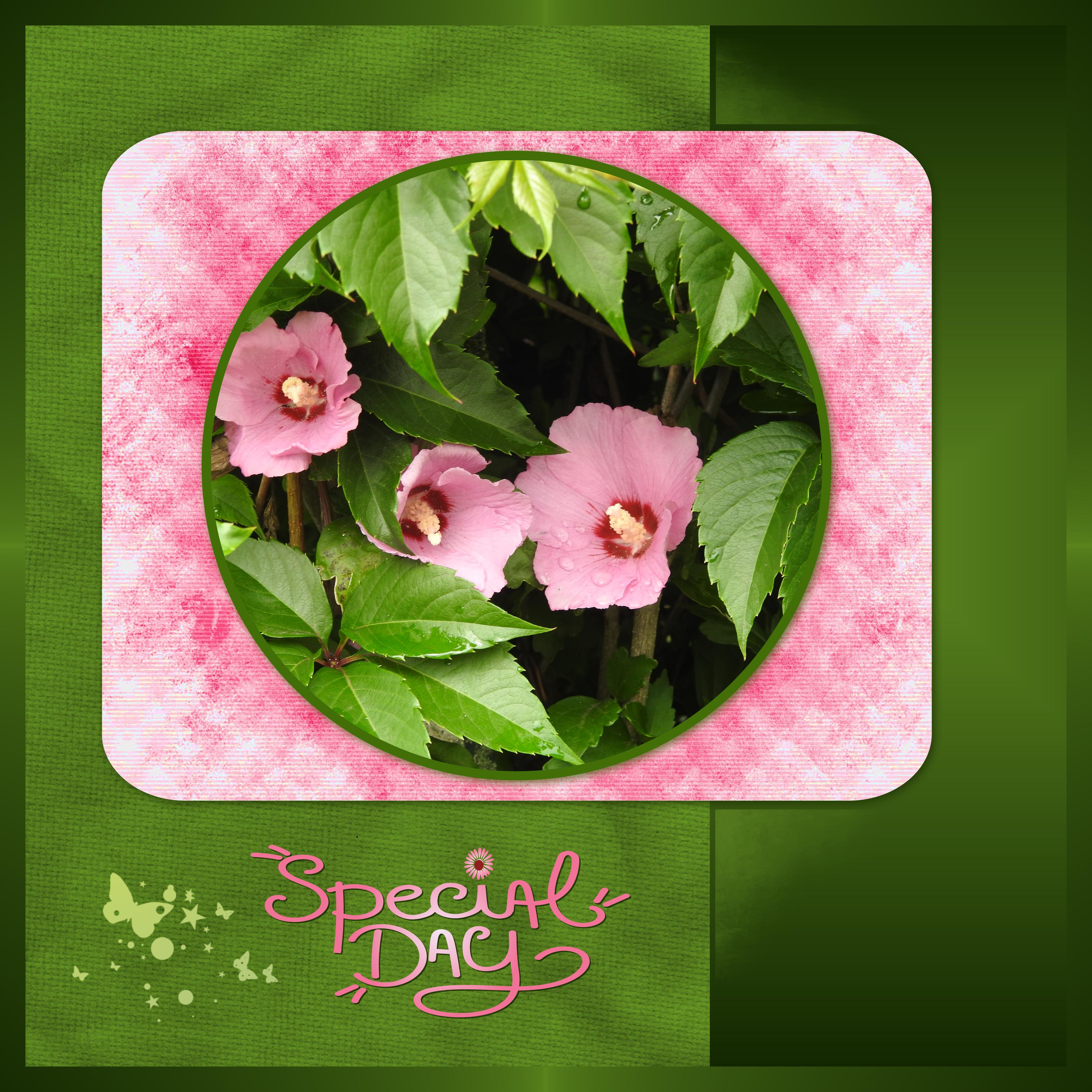 J-a36 - SPECIAL DAY.jpg