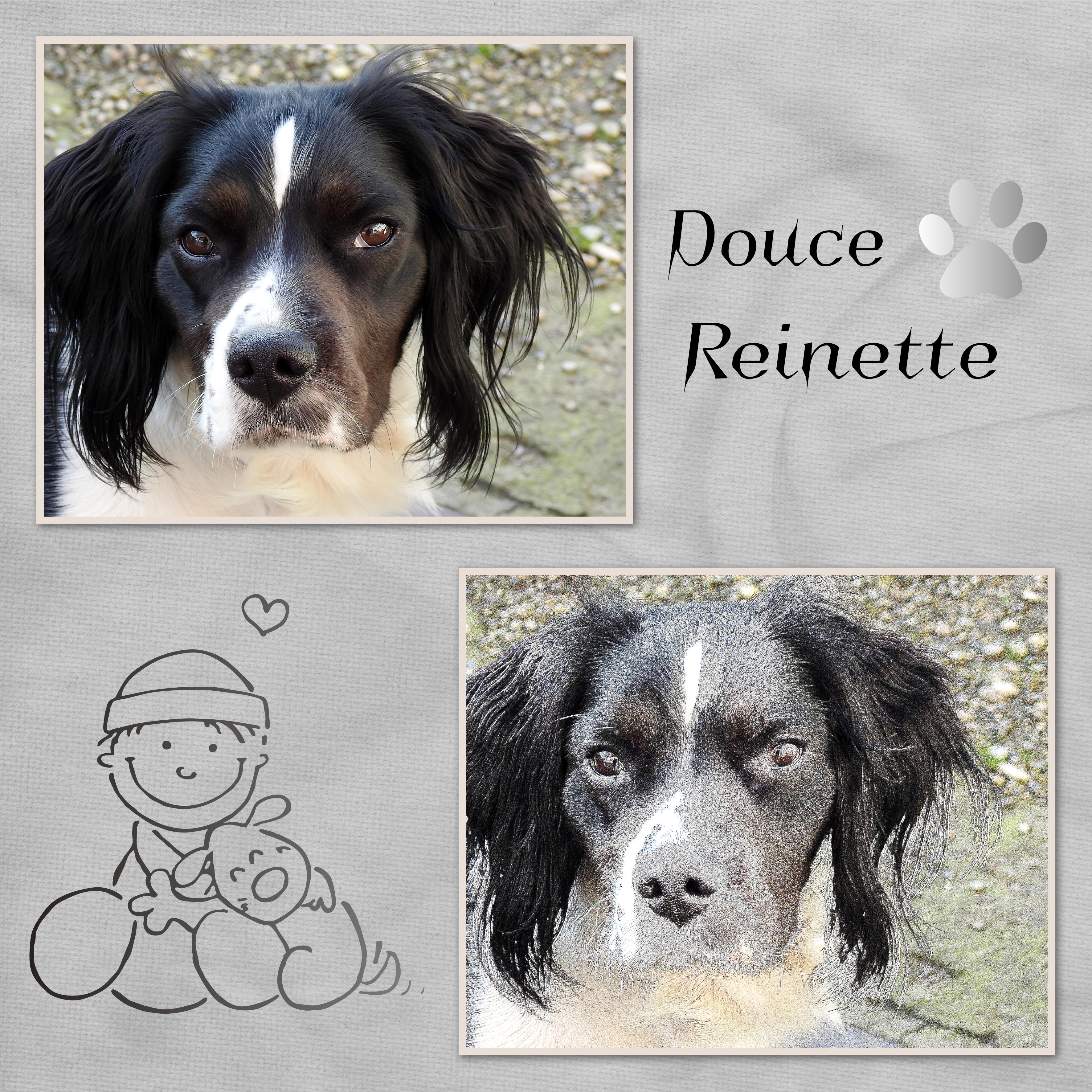 J-A37 - DOUCE REINETTE.jpg