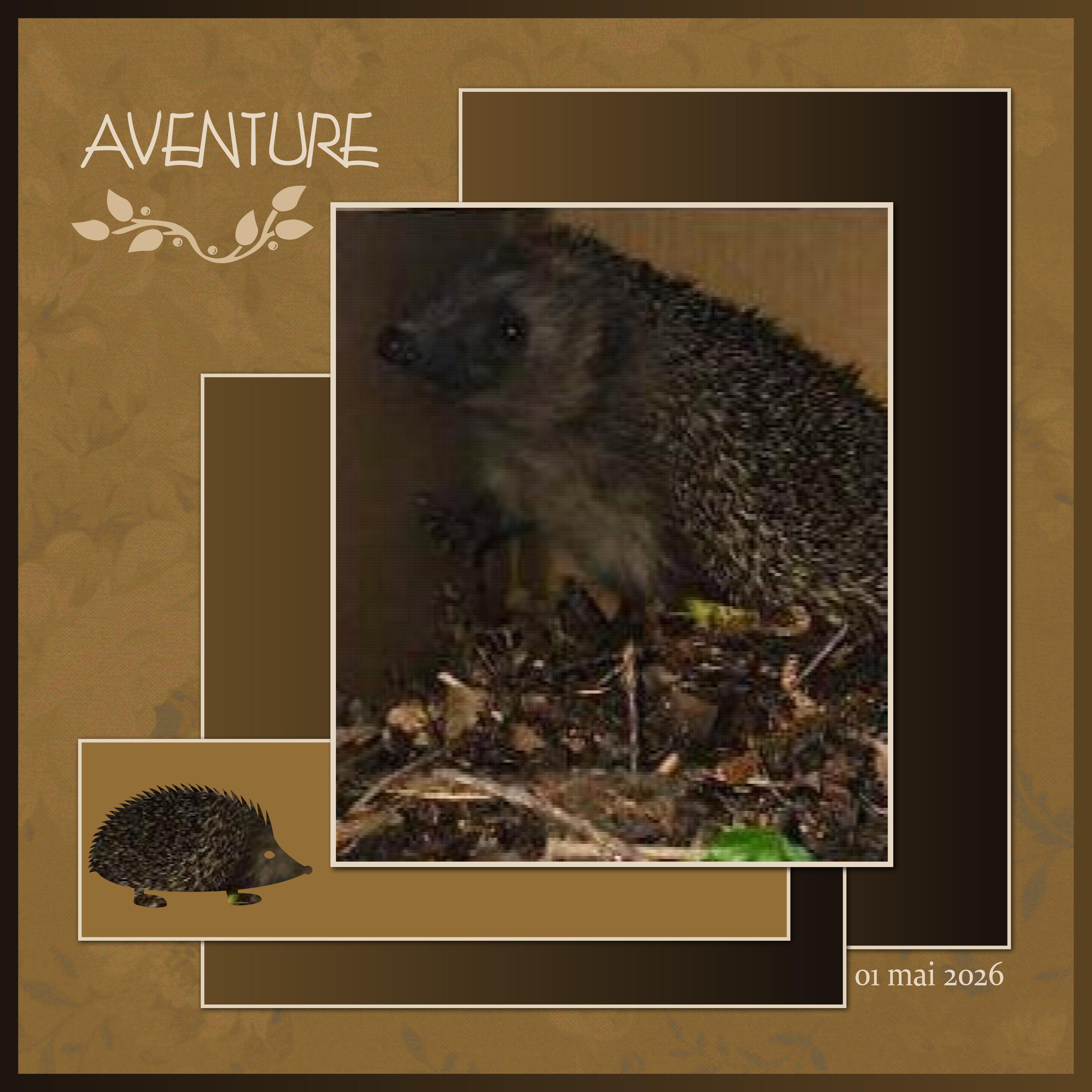 J-A39 - AVENTURE.jpg