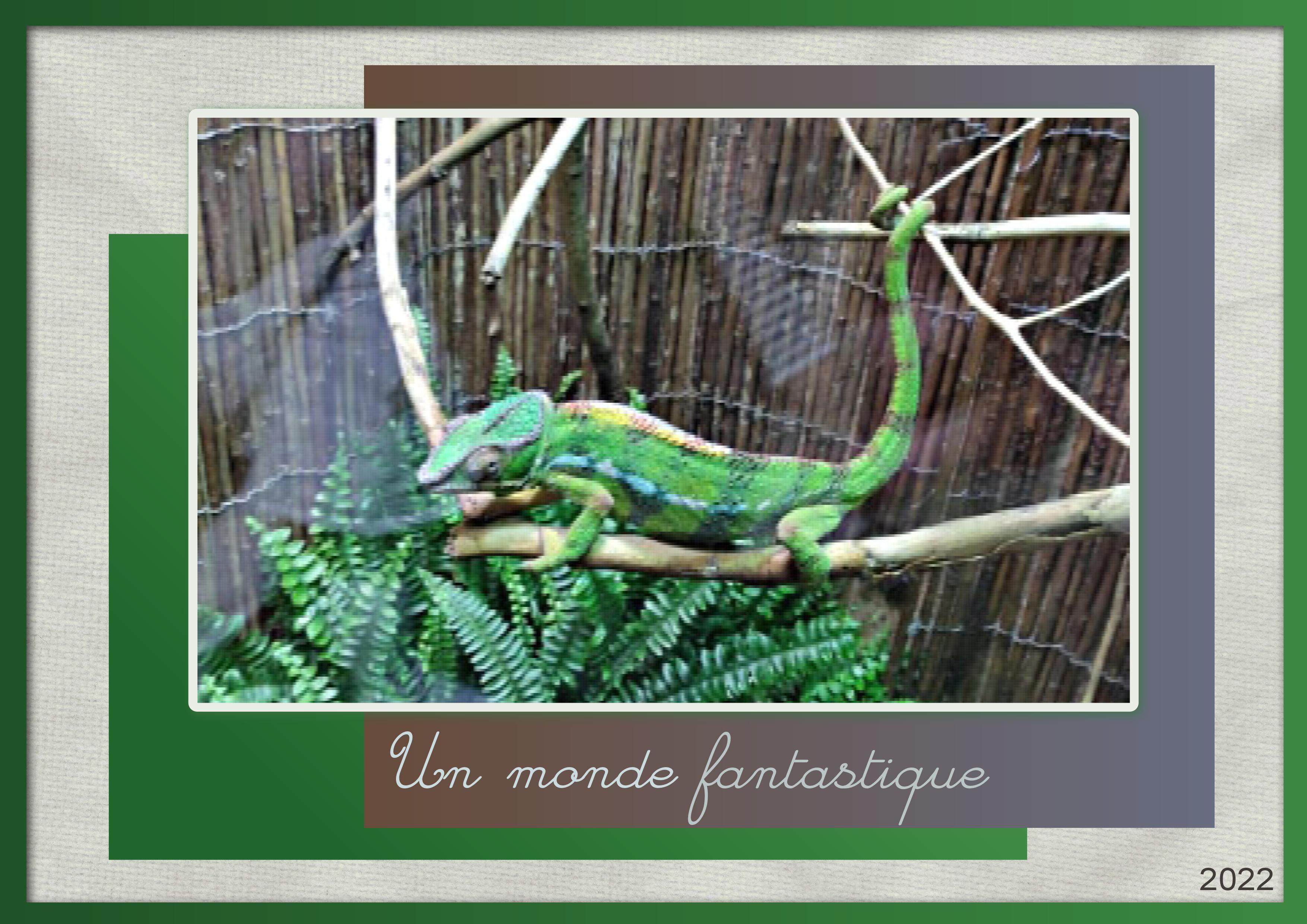 J-A39 - UN MONDE FANTASTIQUE.jpg