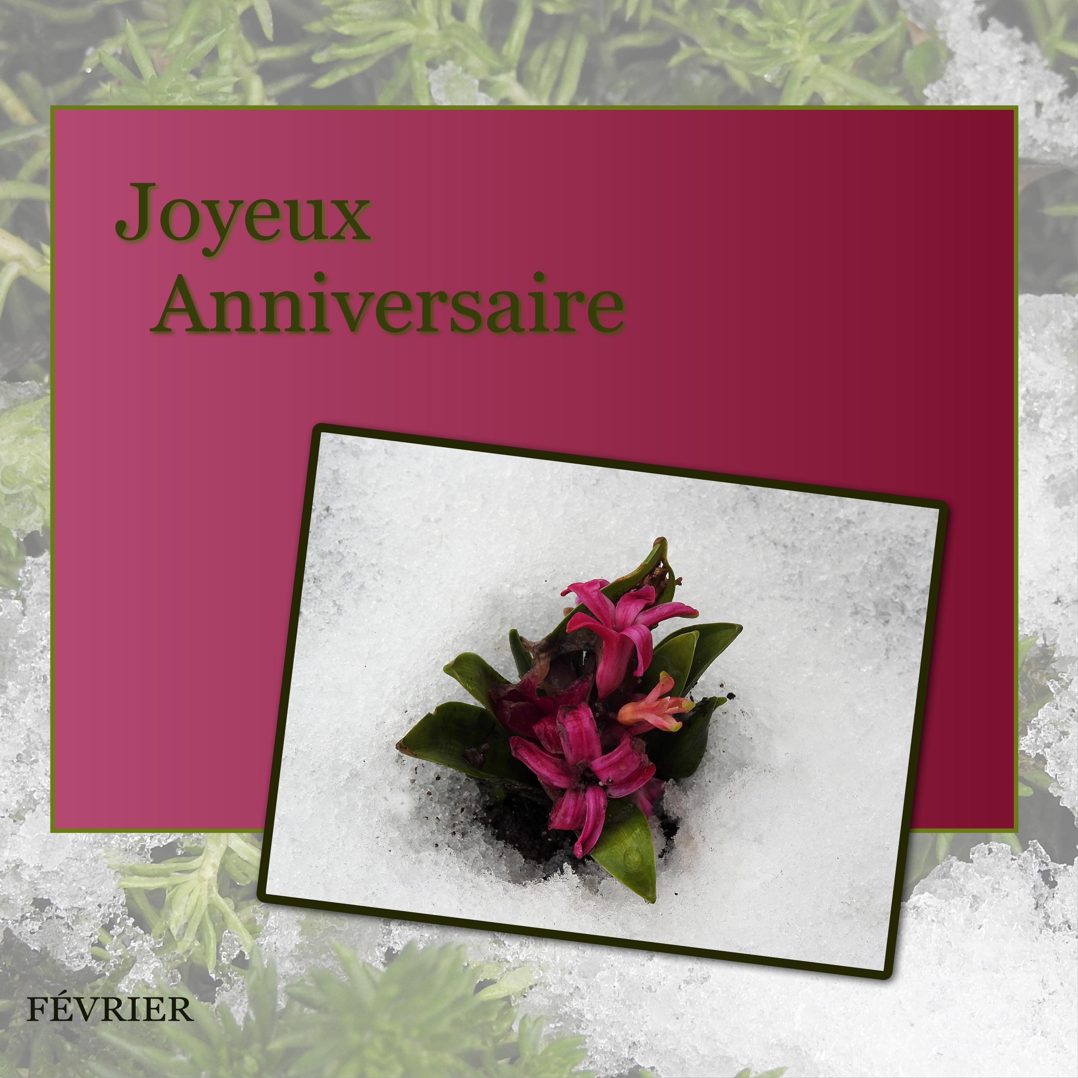 J-a4  - ANNIVERSAIRES de FEVRIER.jpg