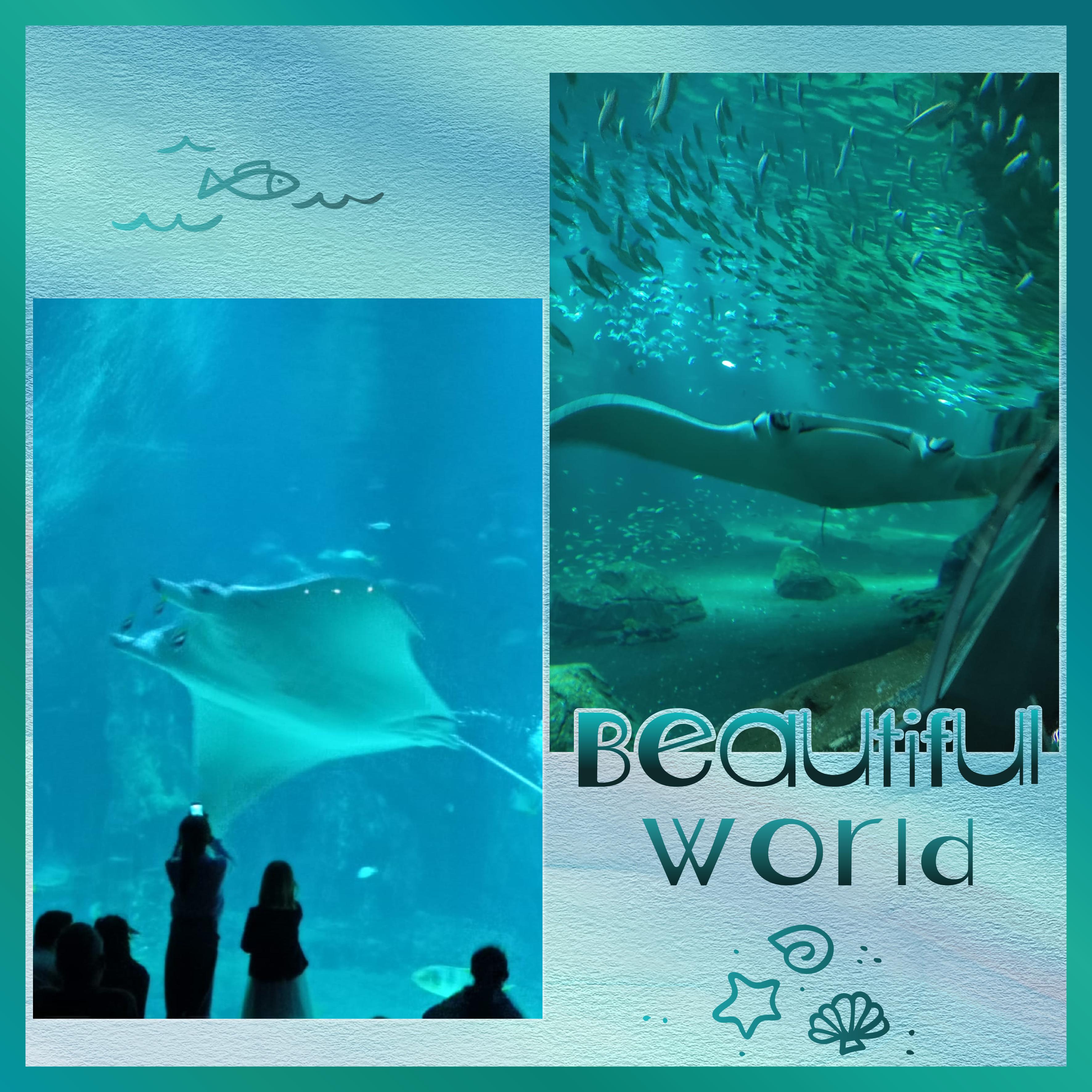 J-A40 - BEAUTIFUL WORLD.jpg