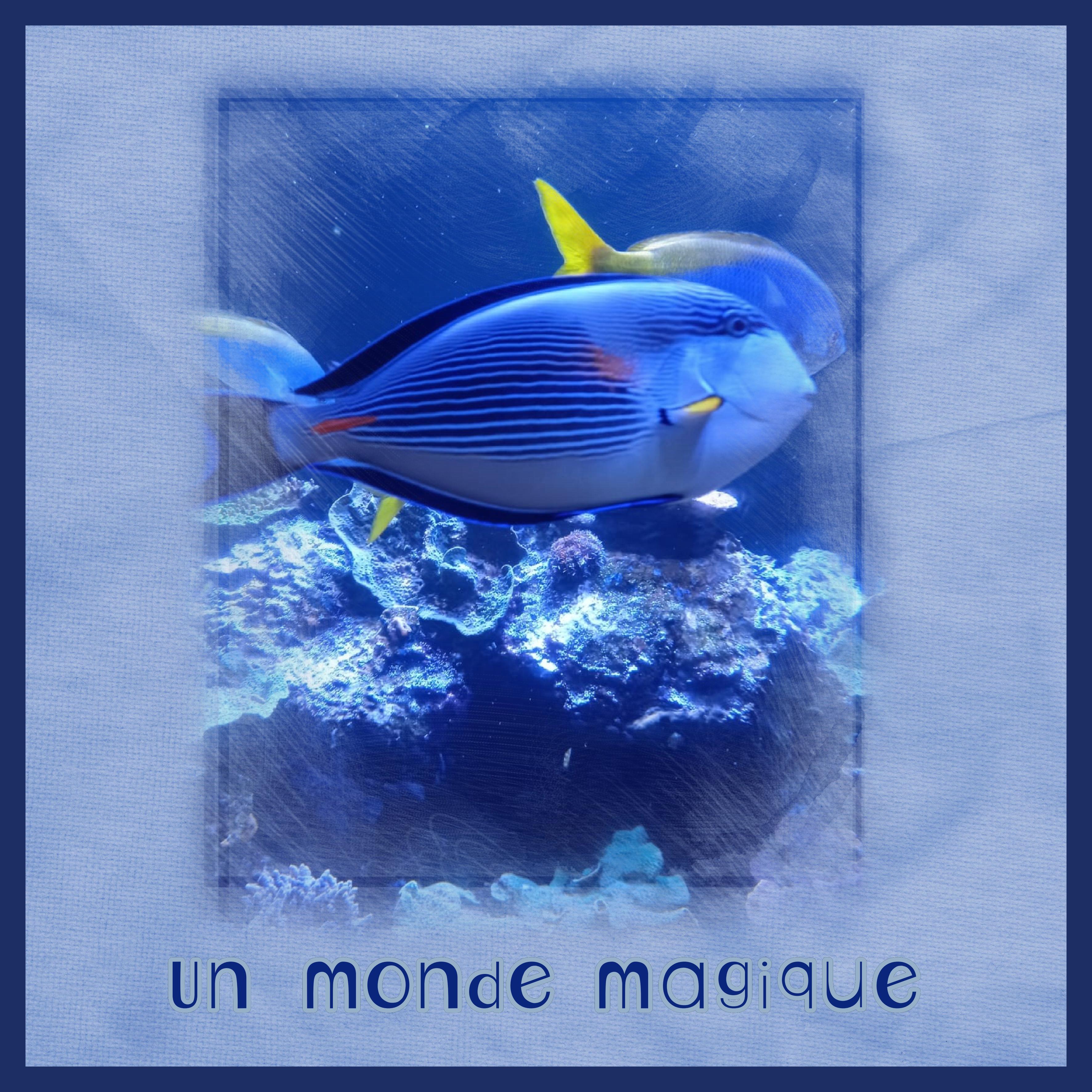 J-A41 - UN MONDE MAGIQUE.jpg