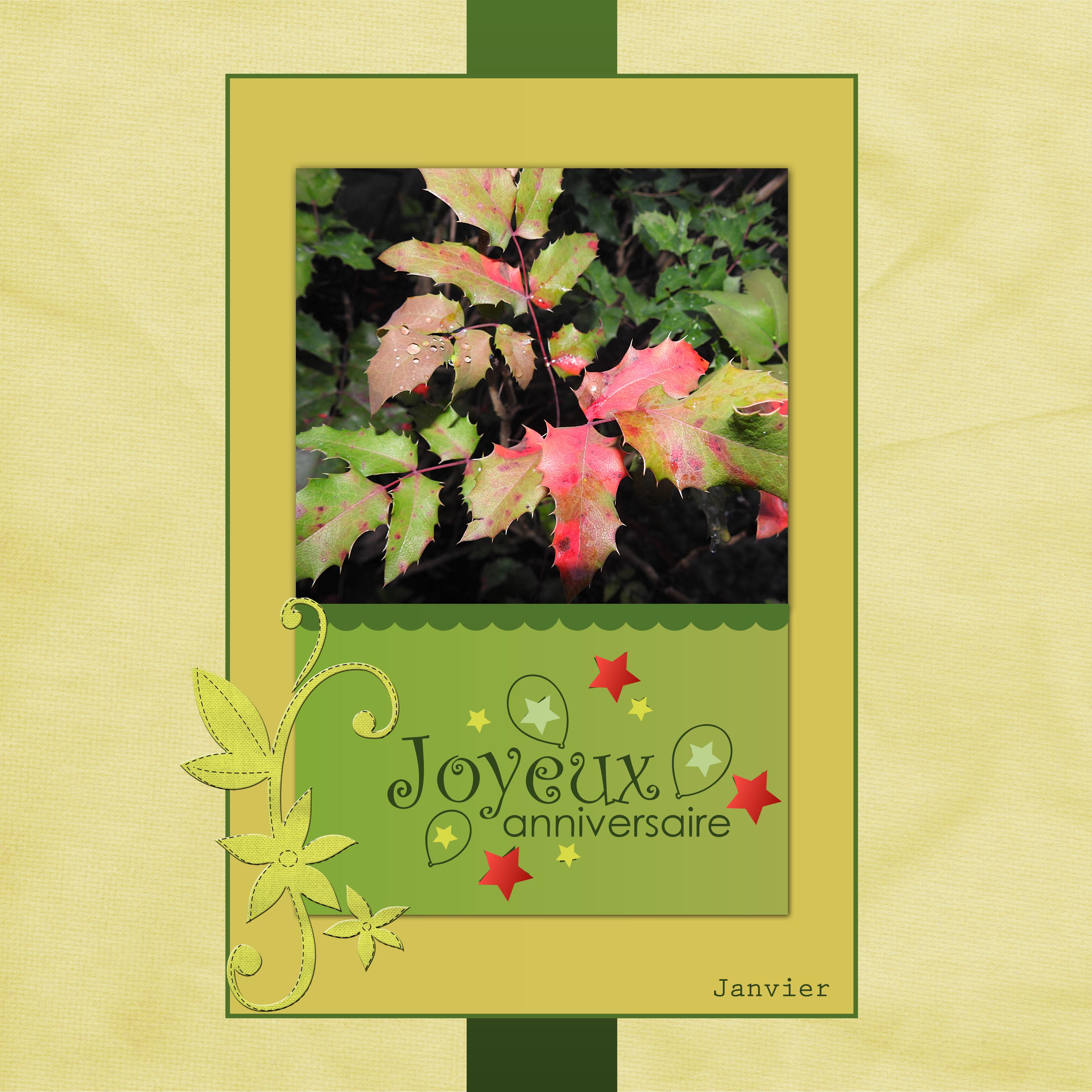 J-a42 - JOYEUX ANNIVERSAIRE.jpg