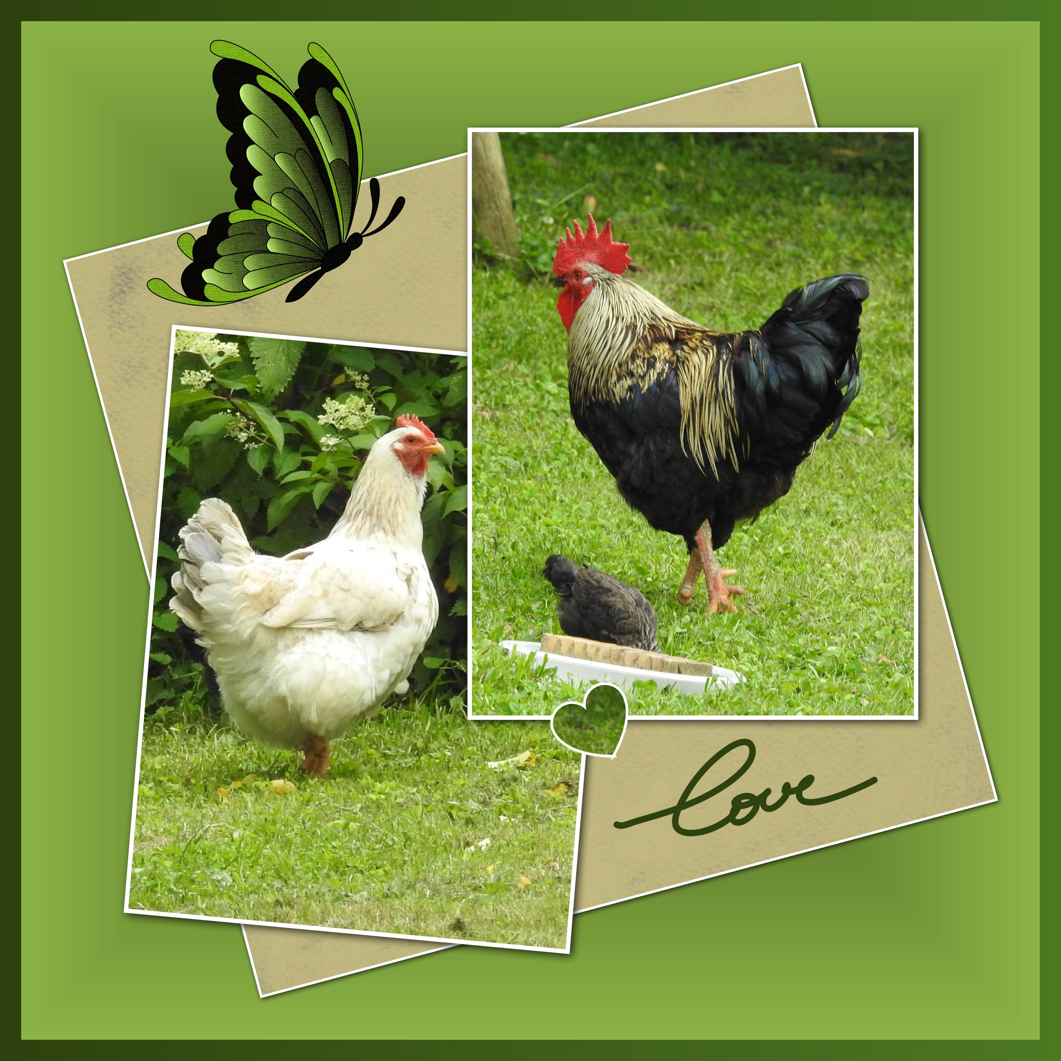 J-A43 - LOVE.jpg