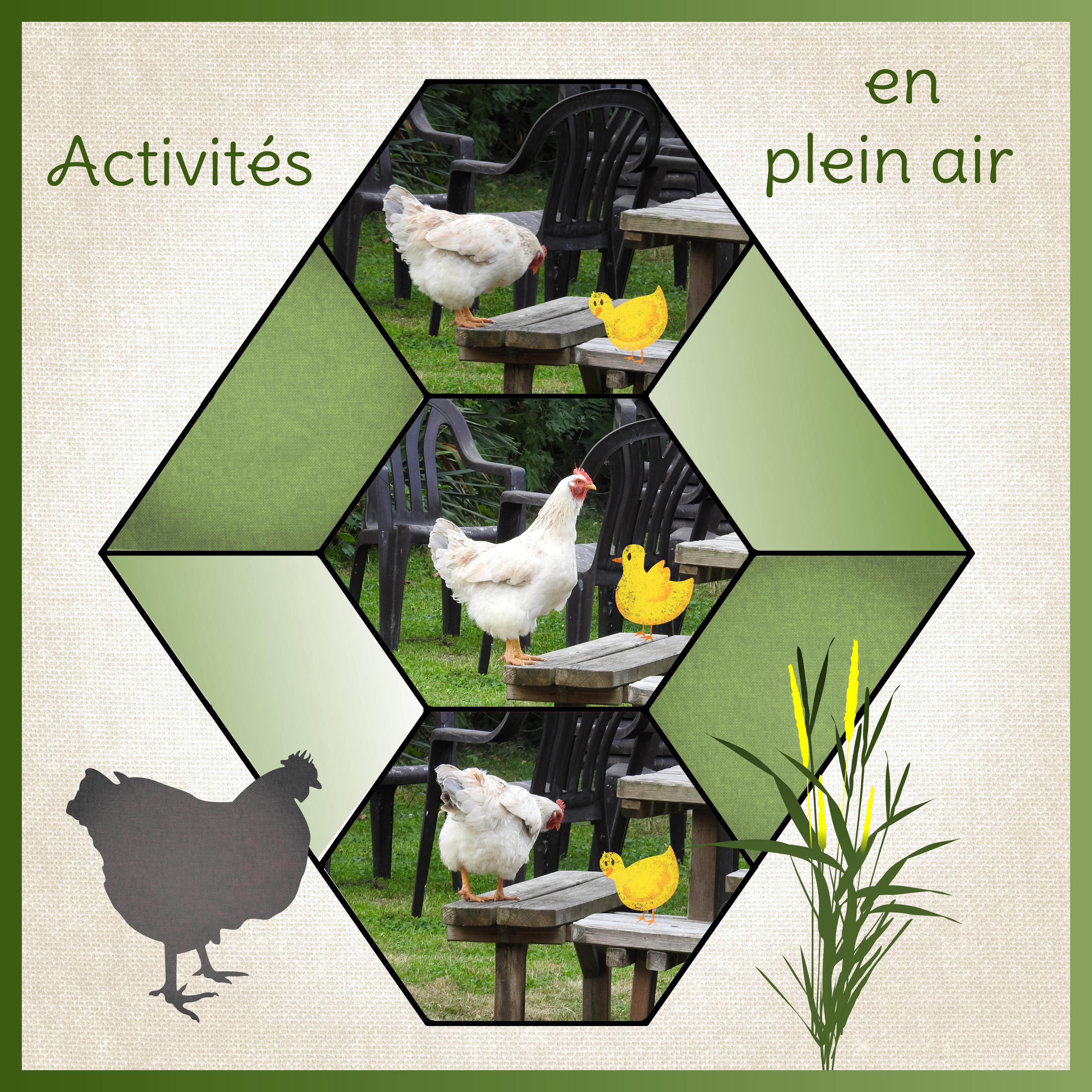 J-A44 - ACTIVITES EN PLEIN AIR.jpg