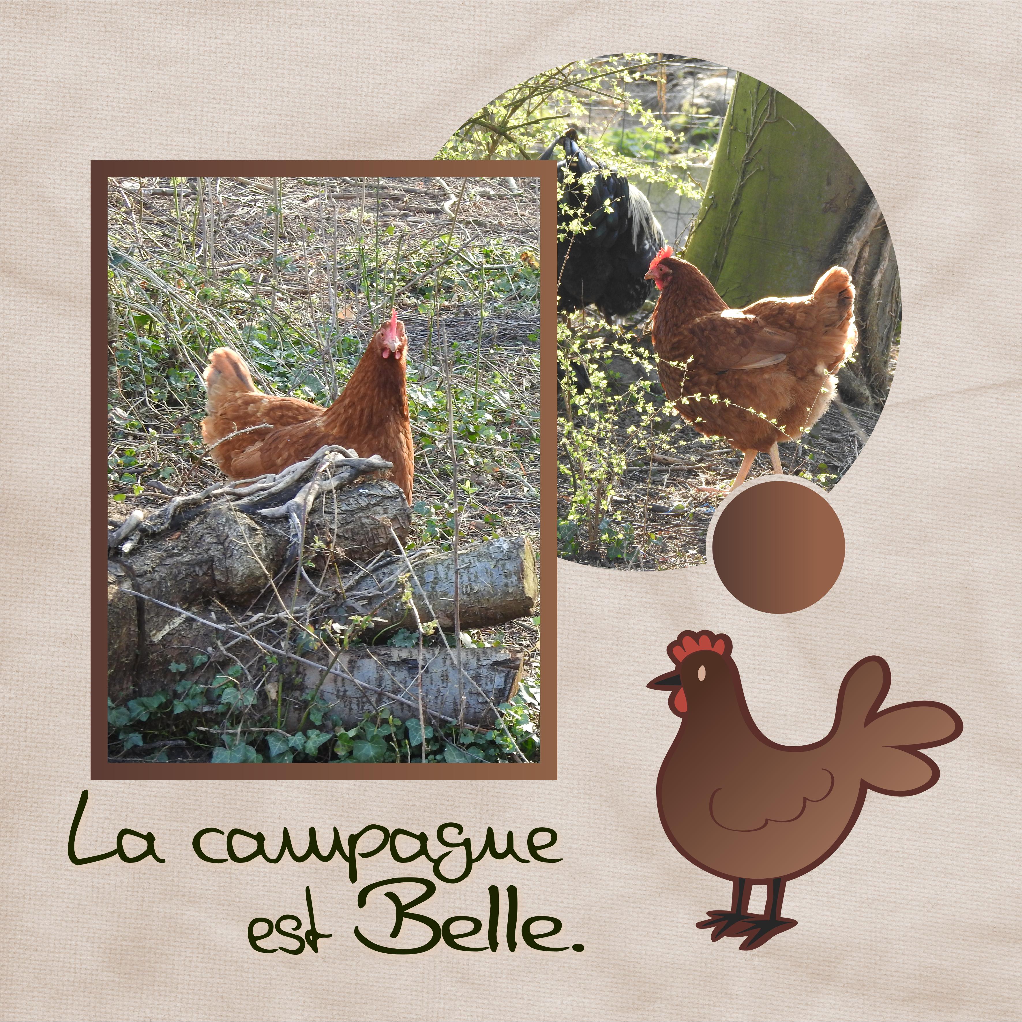 J-A45 - LA CAMPAGNE EST BELLE.jpg