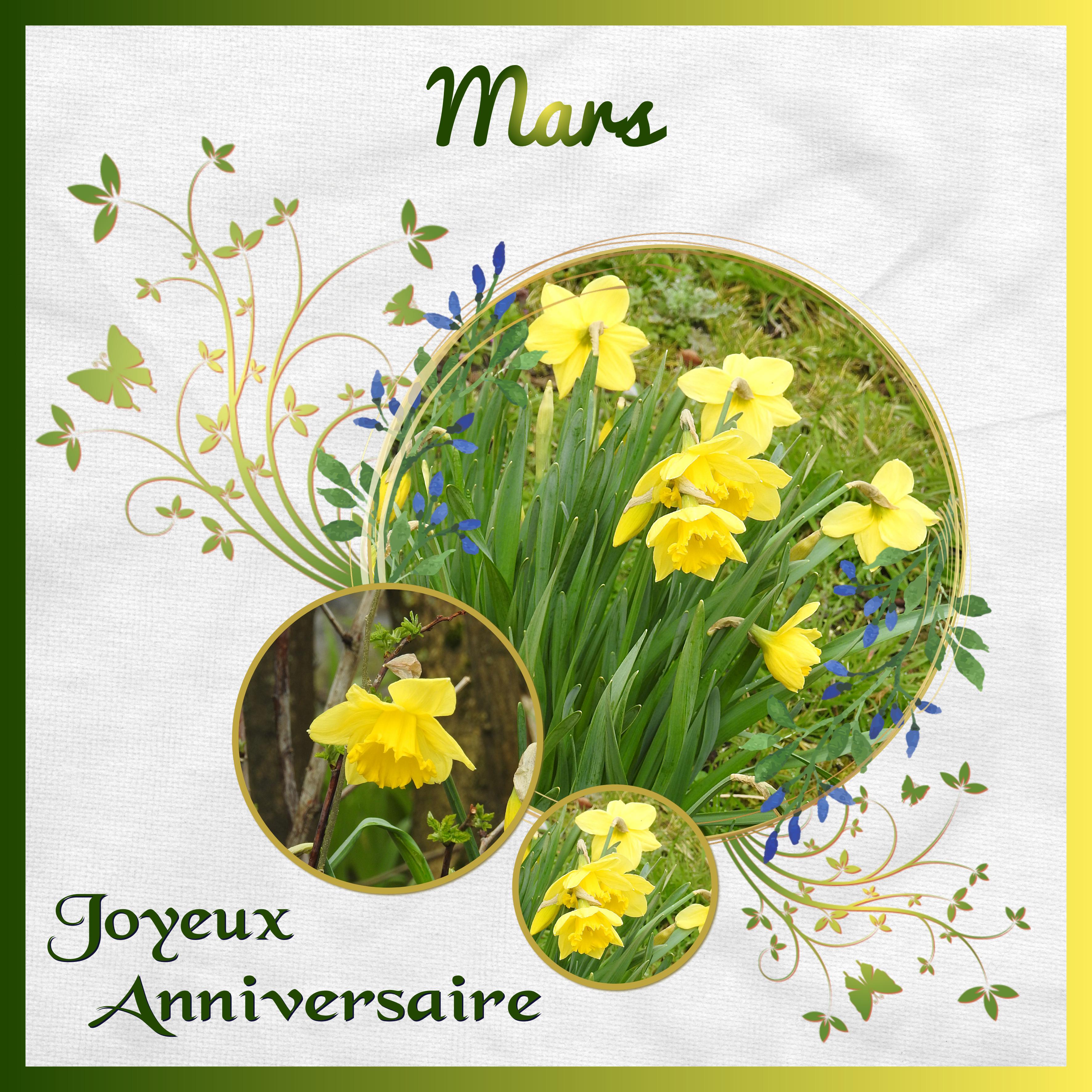 J-a46 - JOYEUX ANNIVERSAIRE.jpg