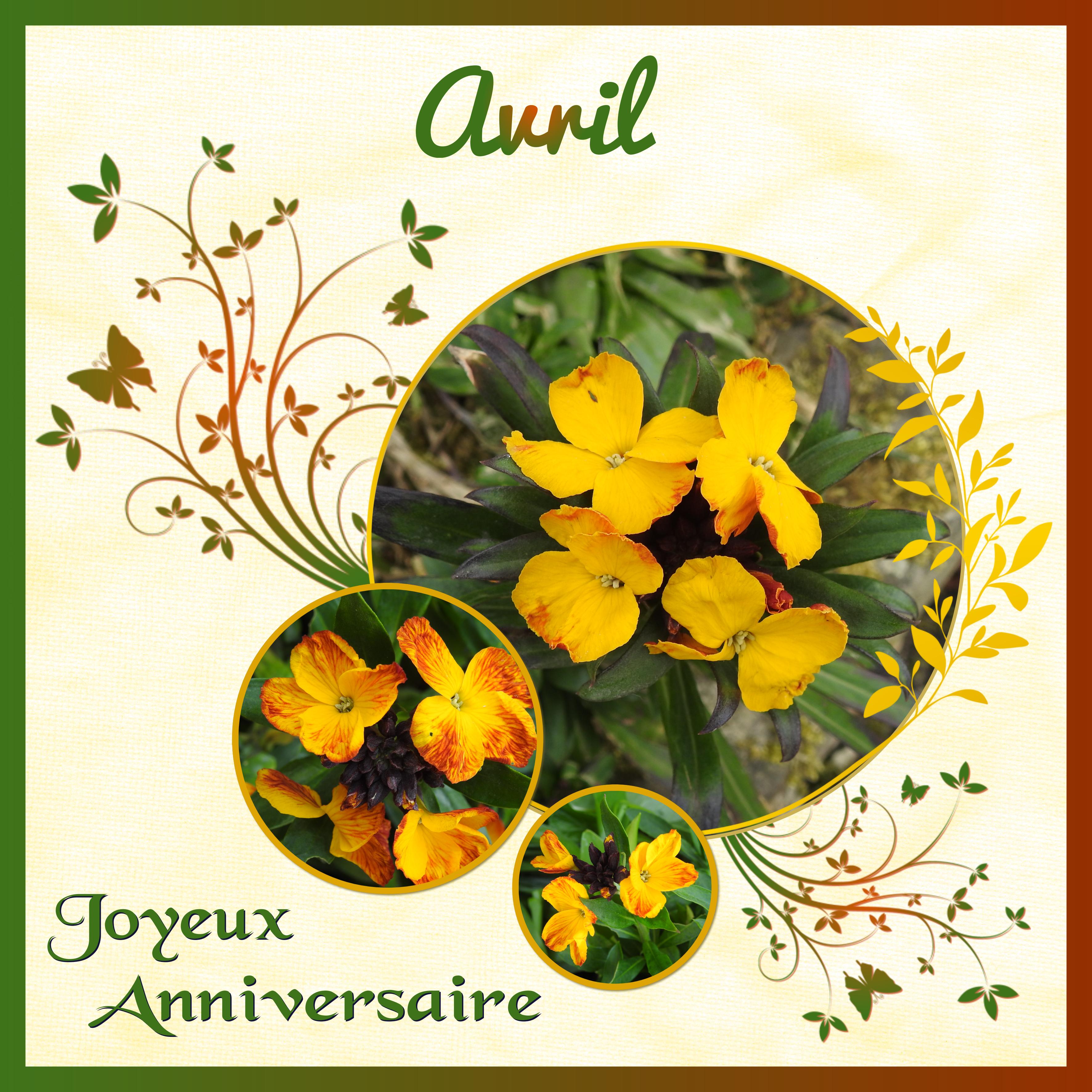 J-a47 - JOYEUX ANNIVERSAIRE.jpg