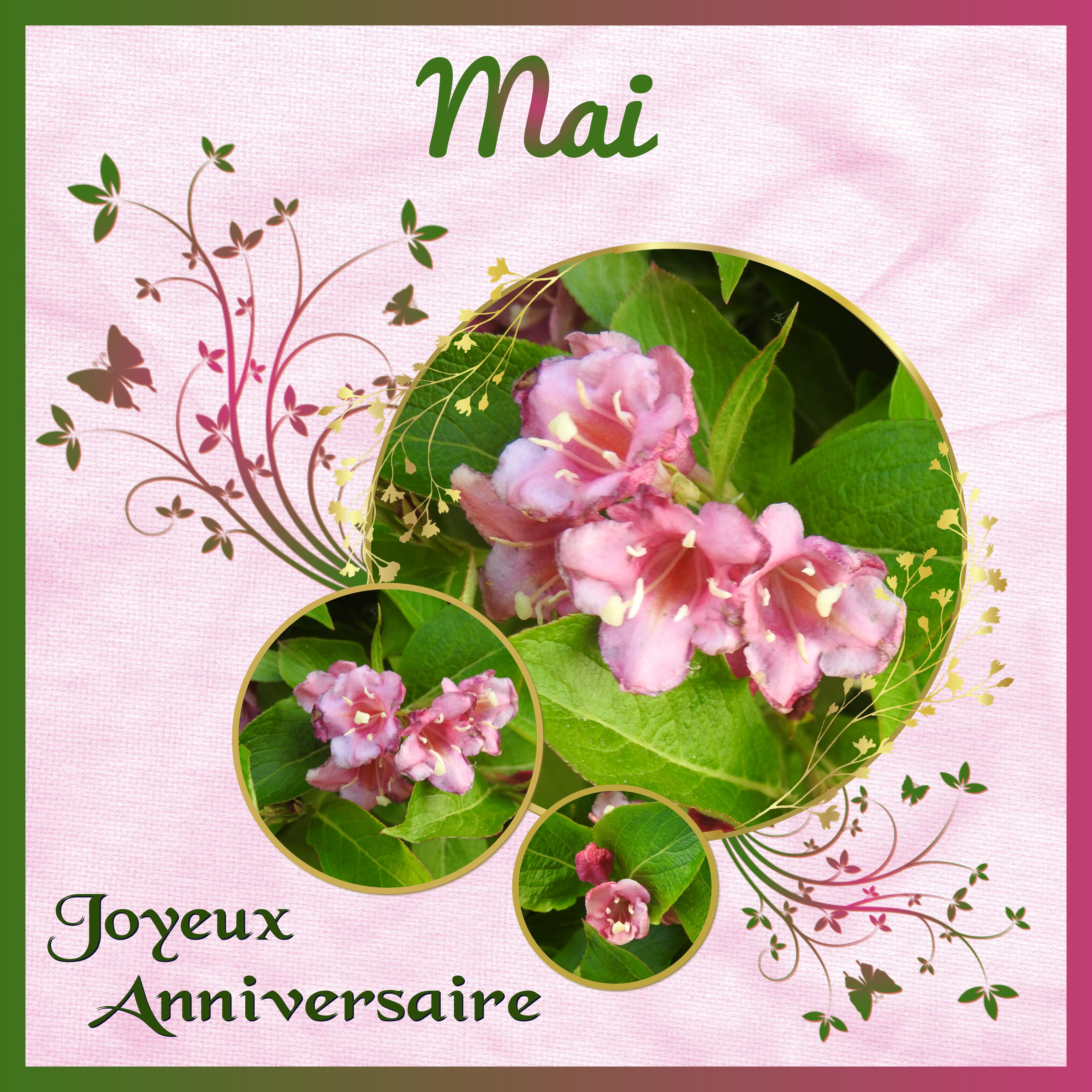 J-a48 - JOYEUX ANNIVERSAIRE.jpg