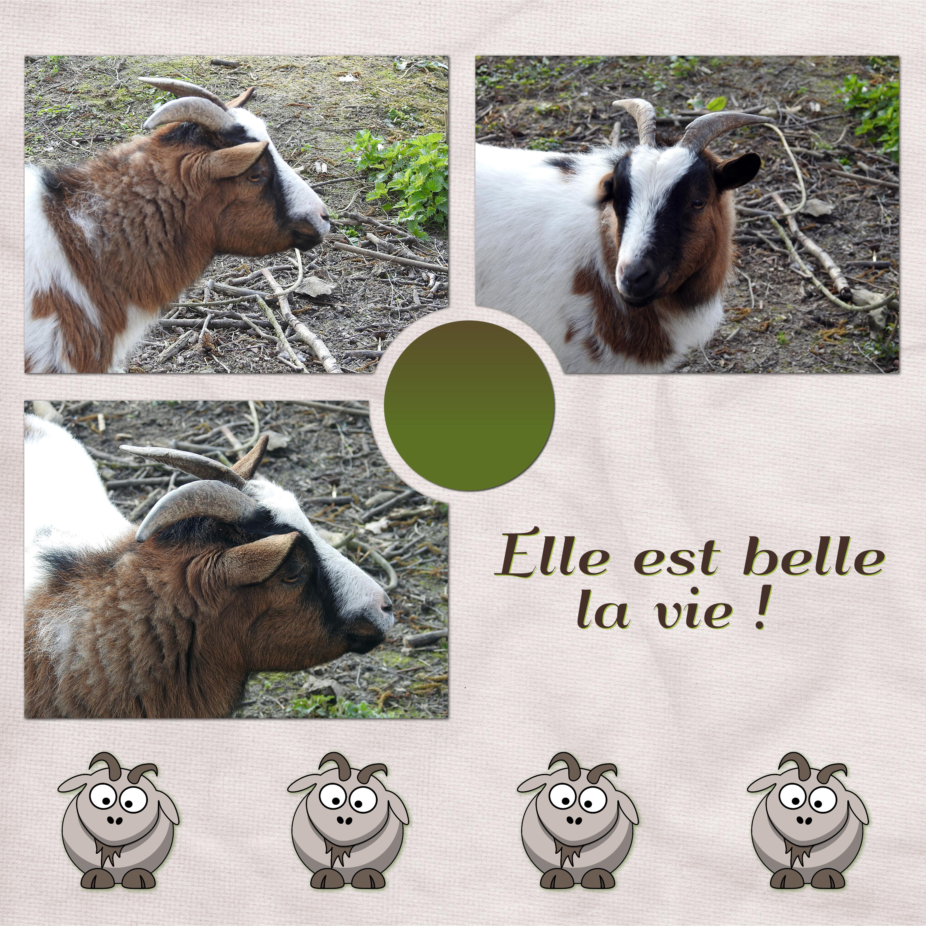 J-A48 - LA VIE EST BELLE.jpg