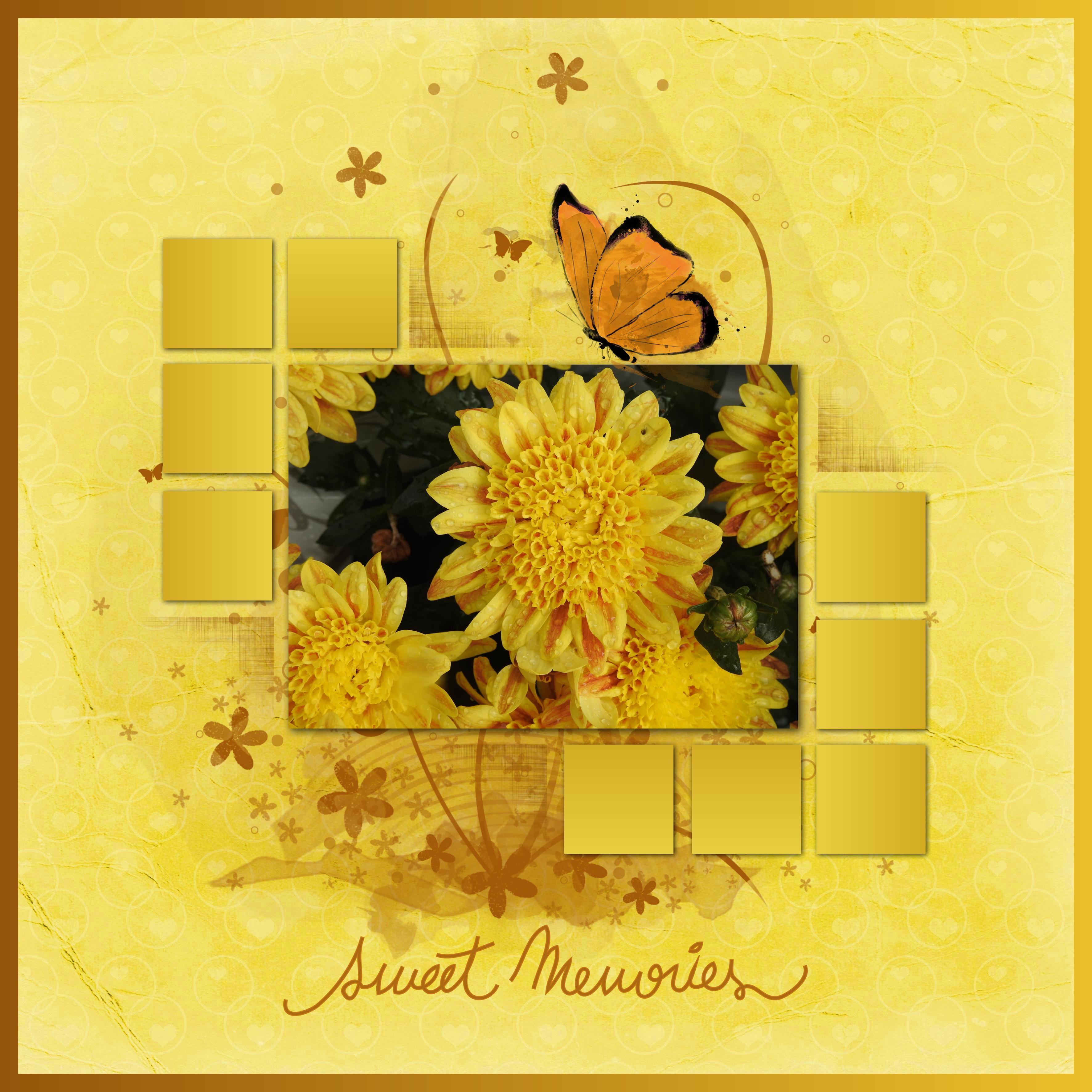 J-a48 - SWEET MEMORIES.jpg