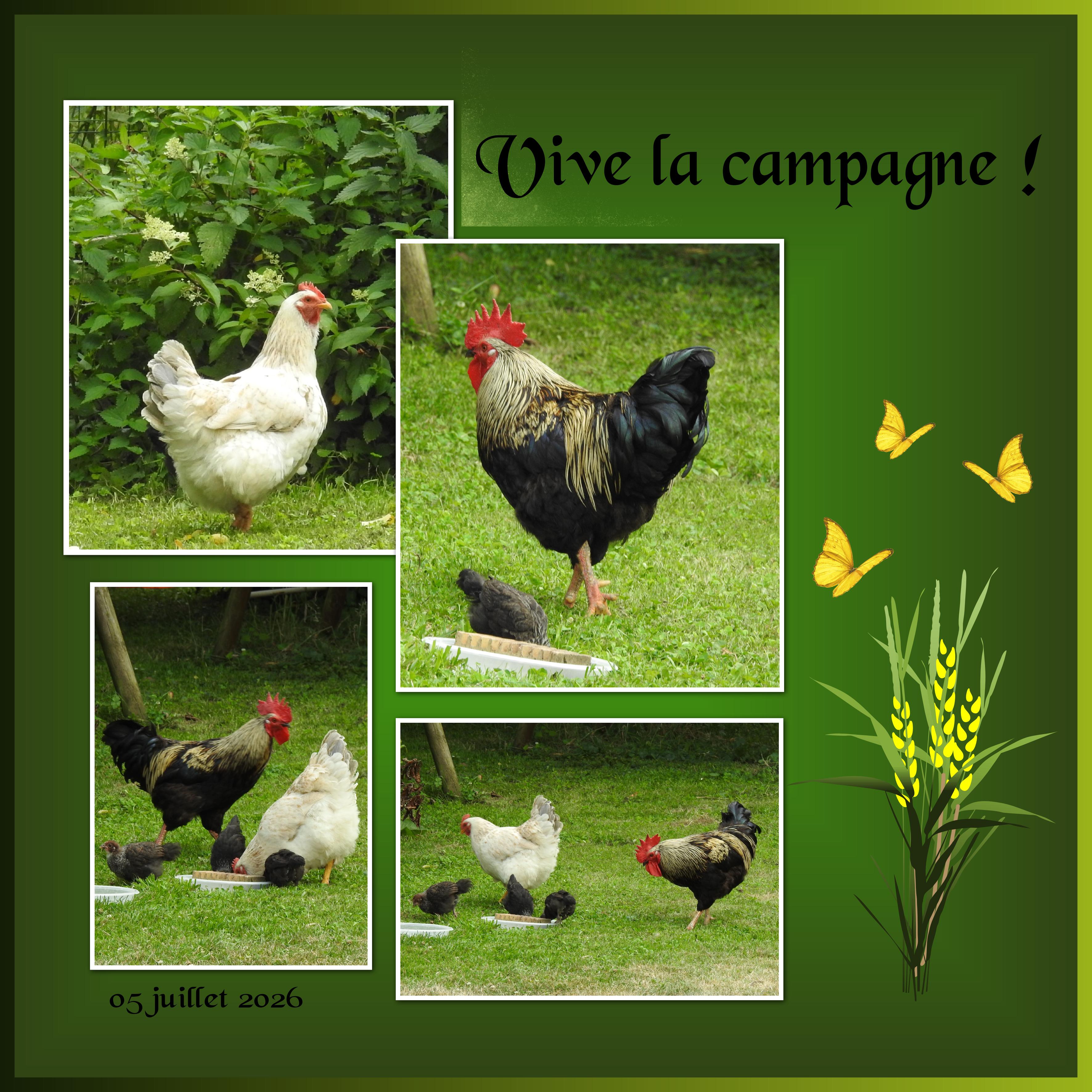J-A48 - VIVE LA CAMPAGNE.jpg