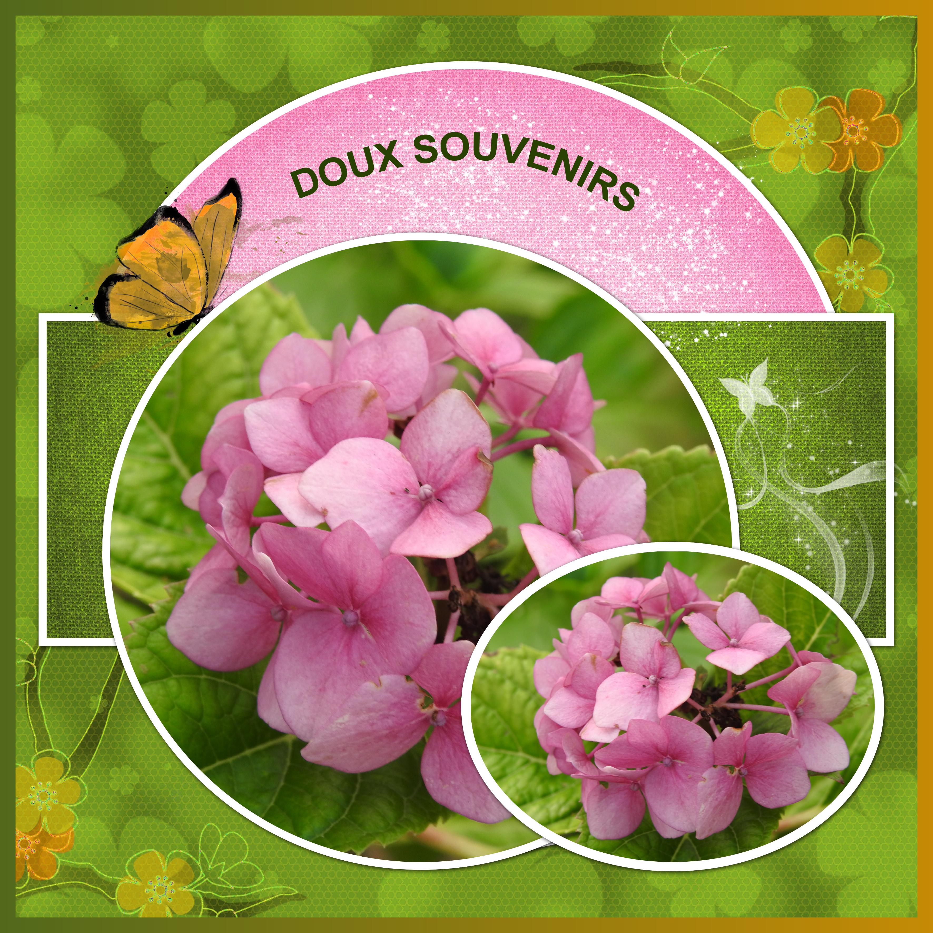 J-a49 - DOUX SOUVENIRS.jpg