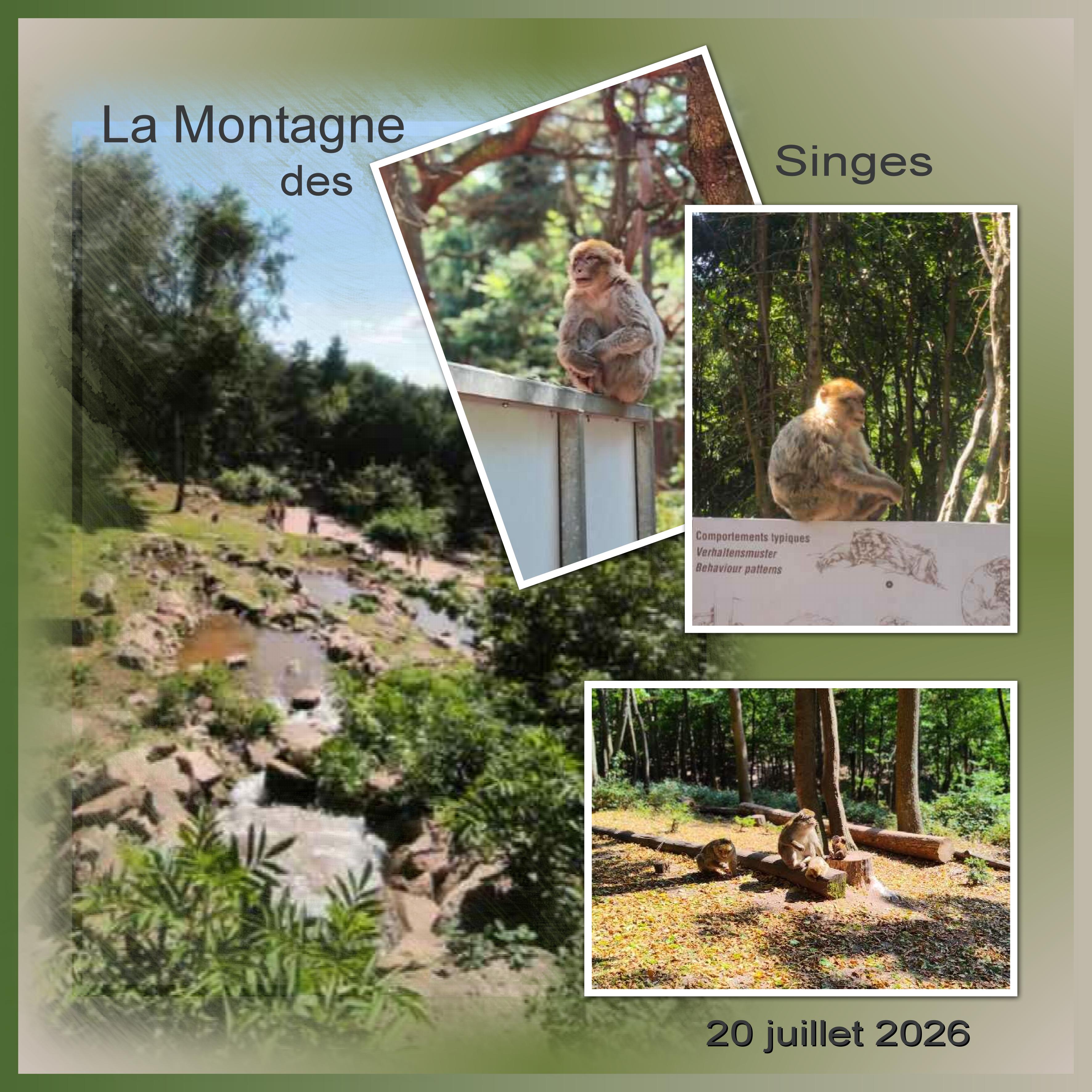 J-A49 - LA MONTAGNE DES SINGES.jpg