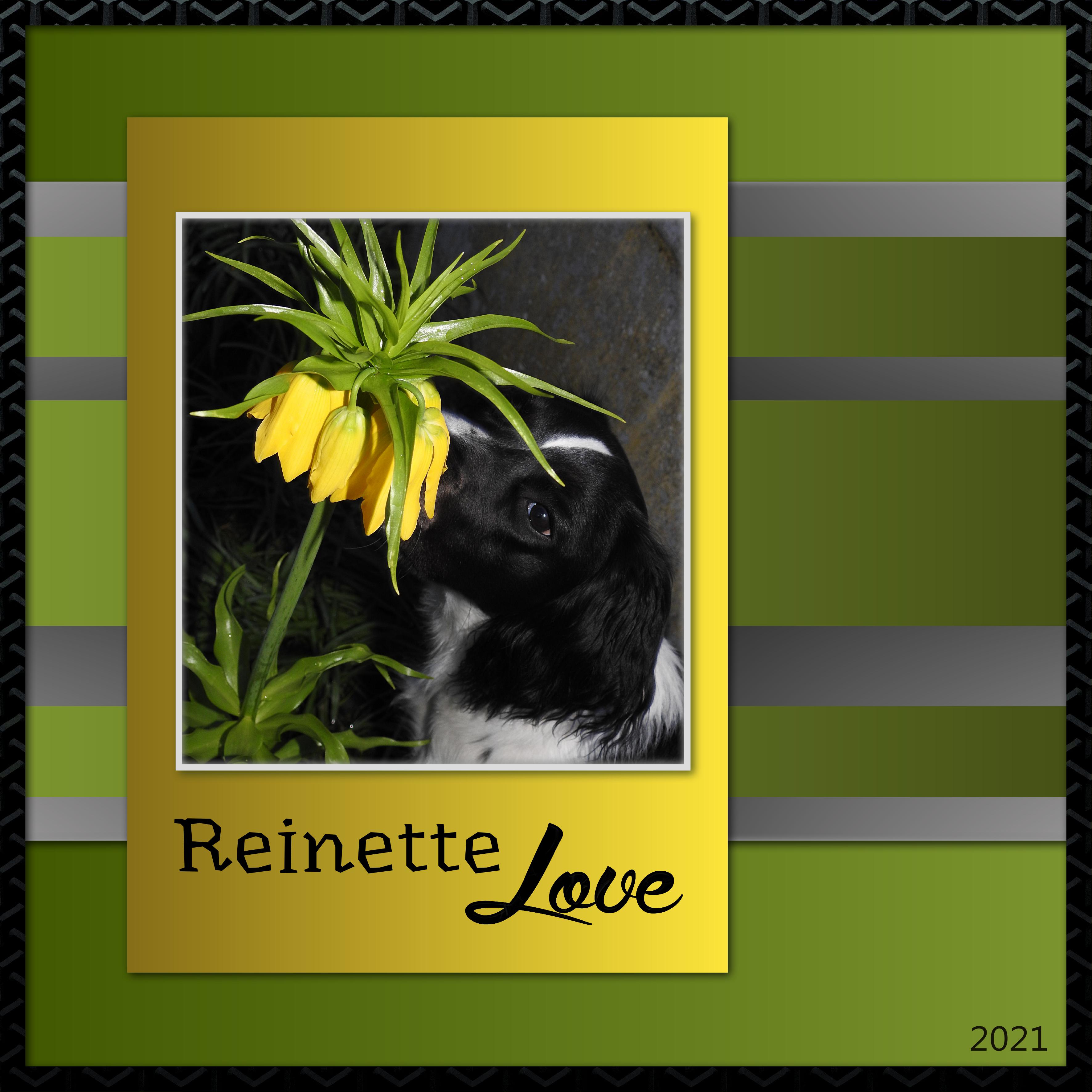 J-A5 - LOVE REINETTE.jpg