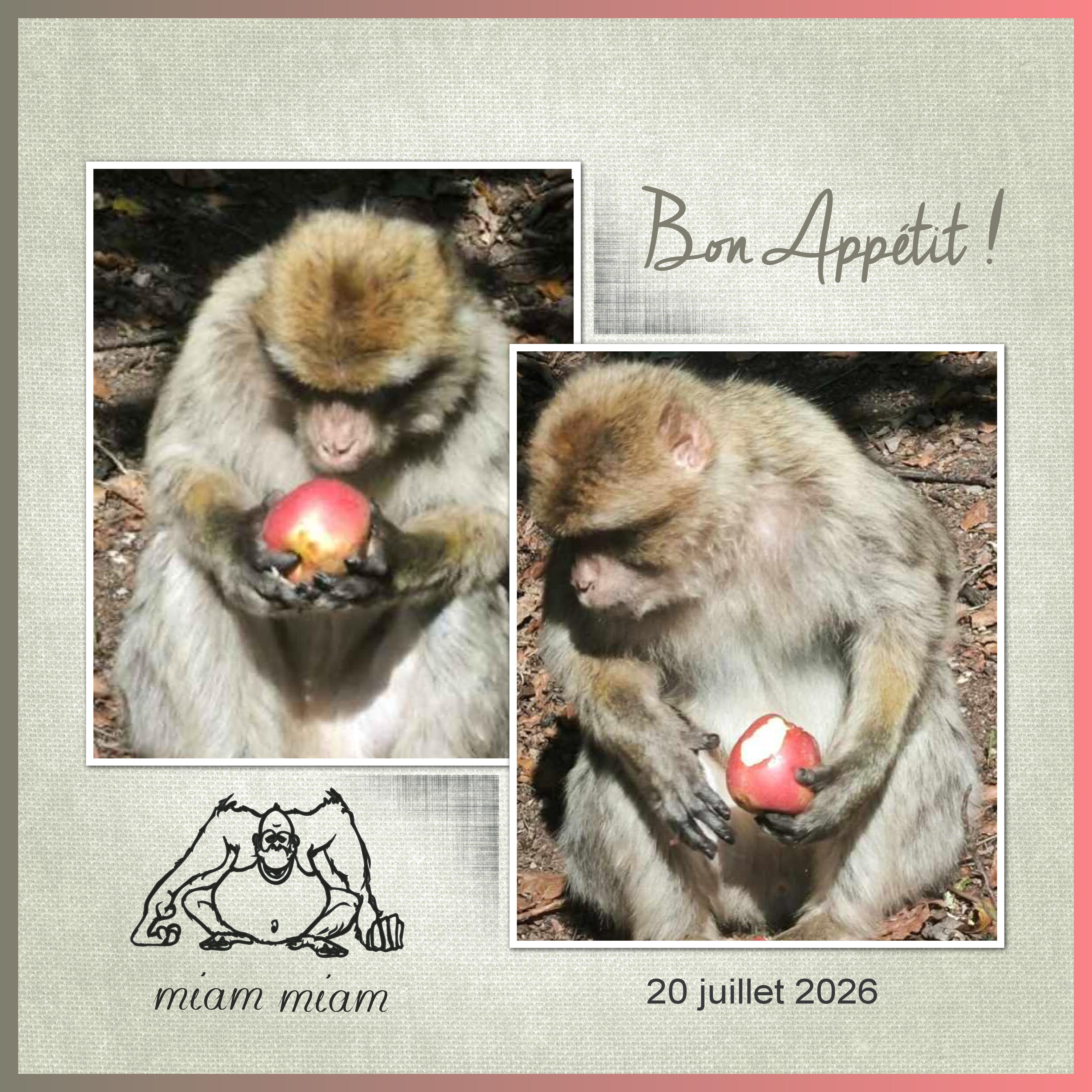 J-A50 - BON APPETIT.jpg