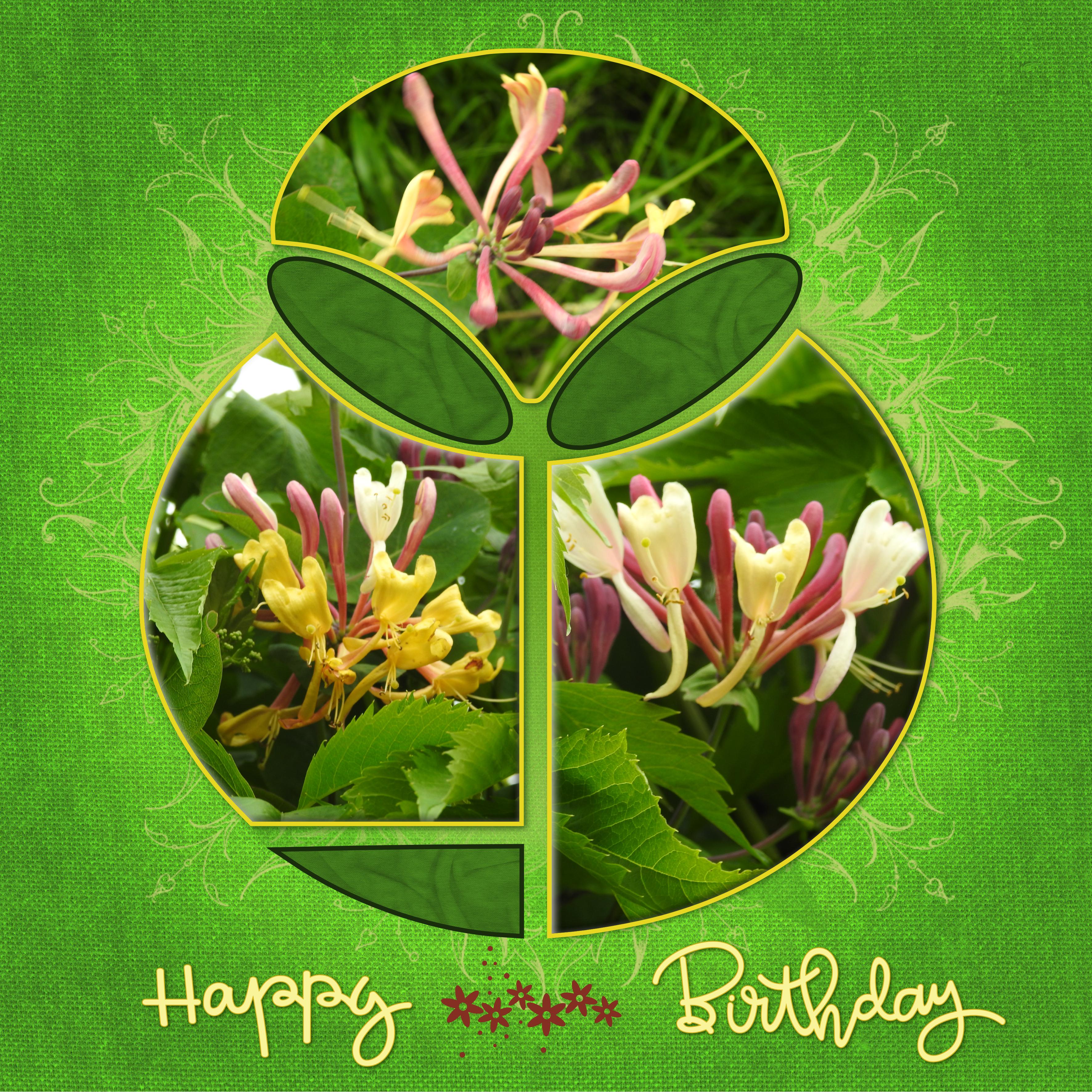 J-a50 - HAPPY BIRTHDAY.jpg