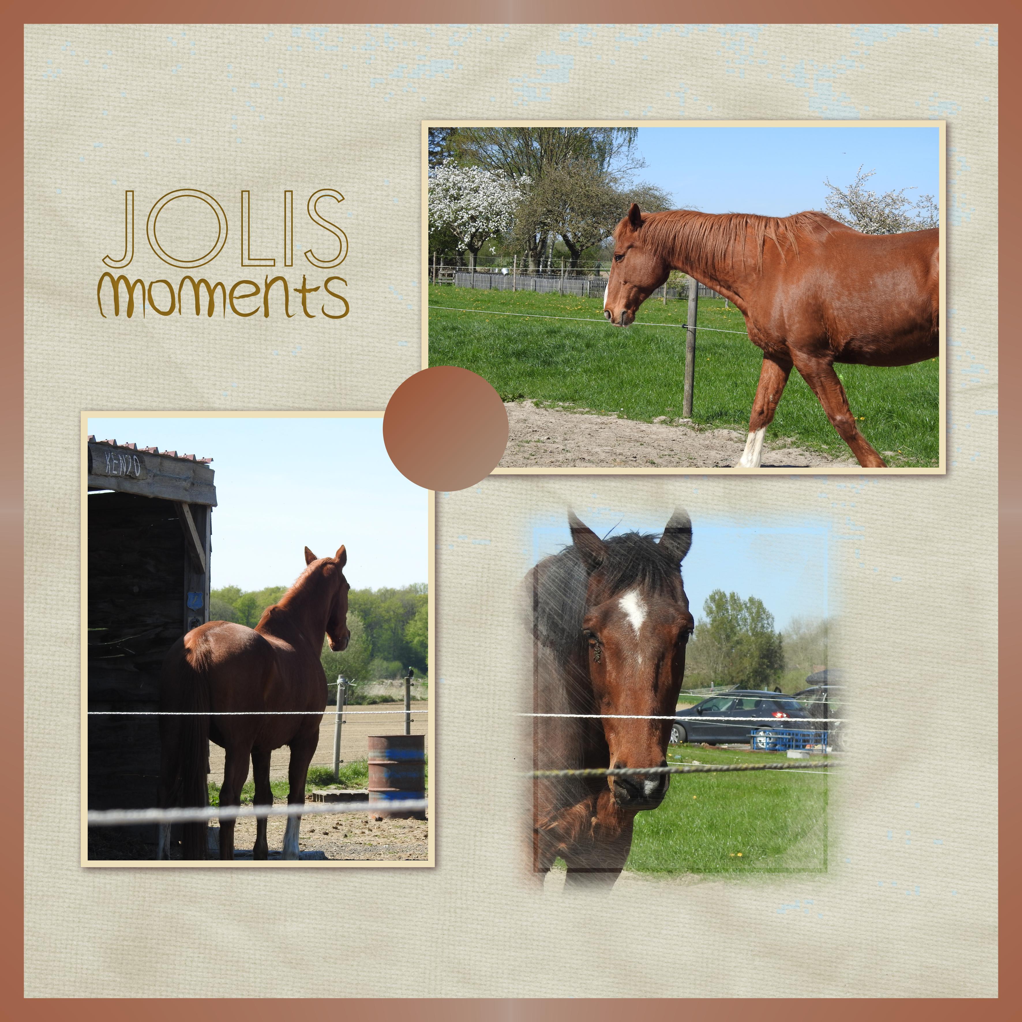 J-A50 - JOLIS MOMENTS.jpg