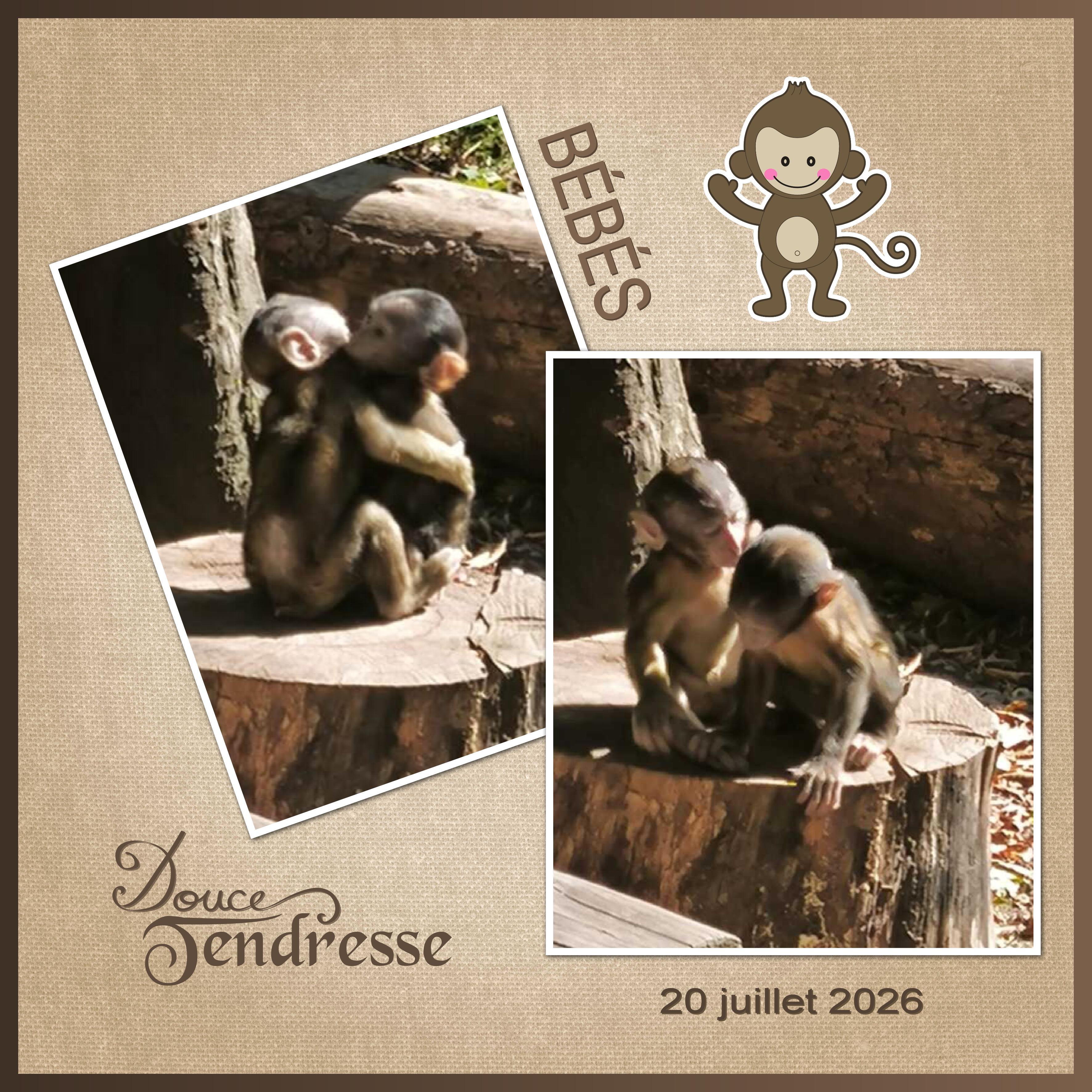 J-A51 - DOUCE TENDRESSE.jpg