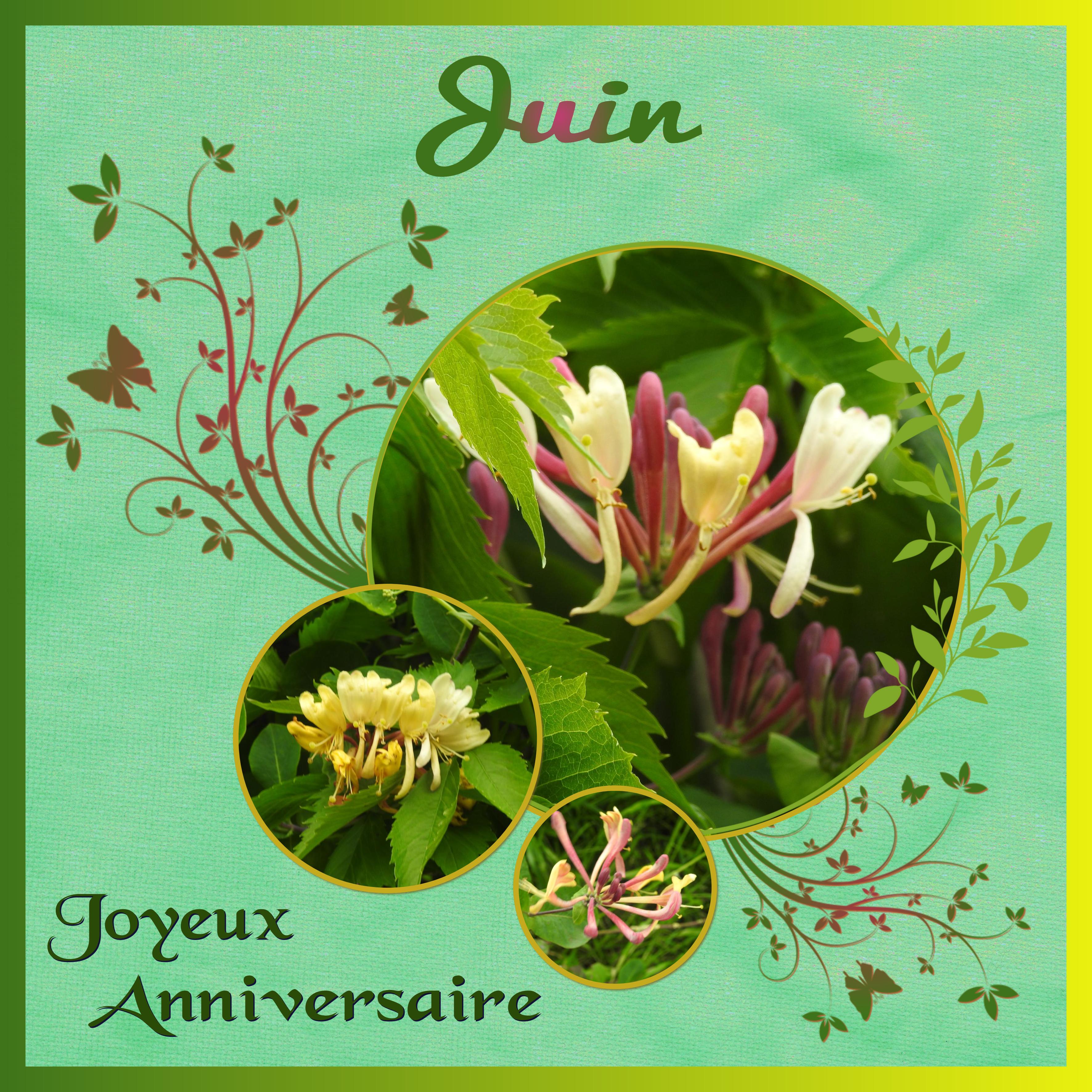 J-a51 - JOYEUX ANNIVERSAIRE.jpg