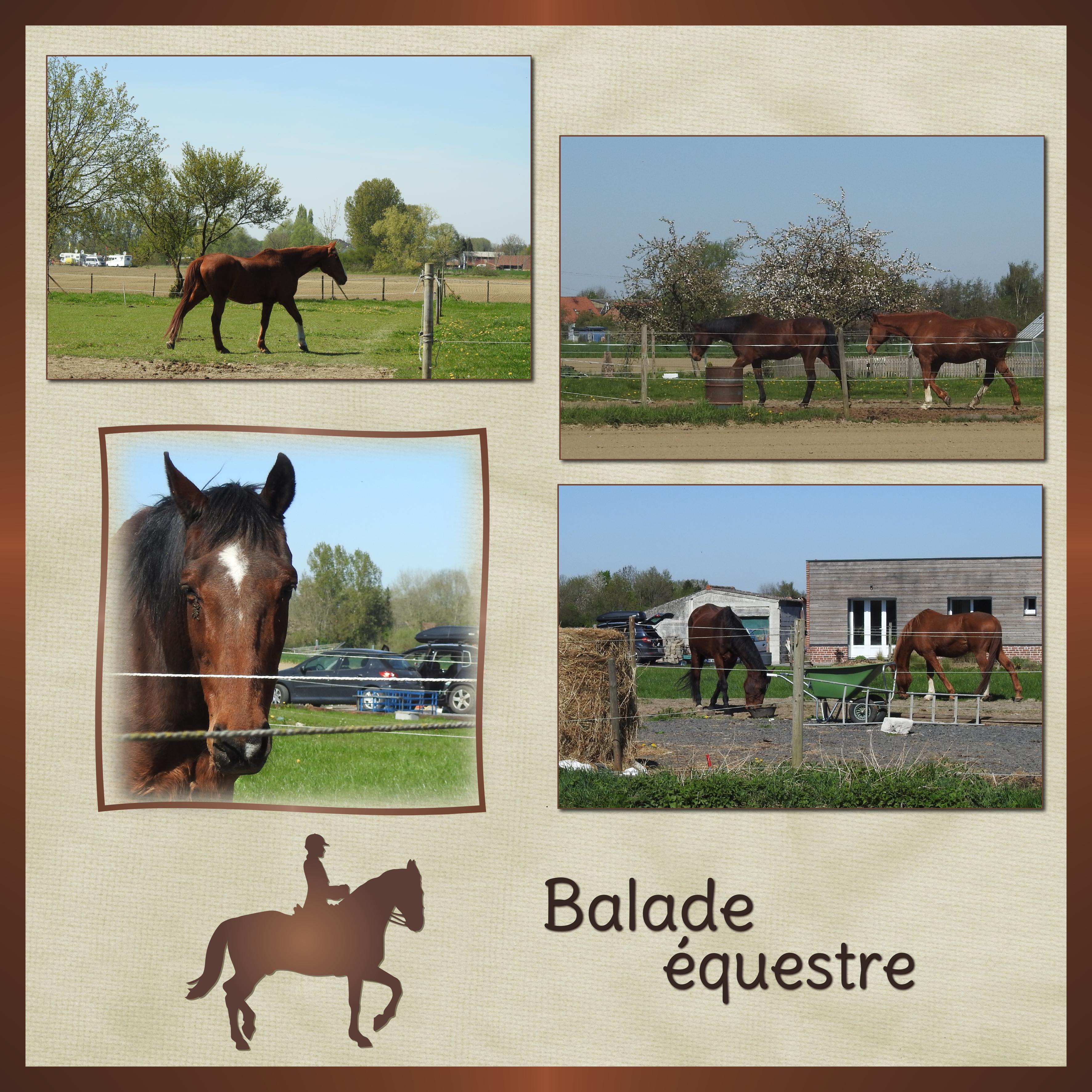 J-A52 - BALADE EQUESTRE.jpg