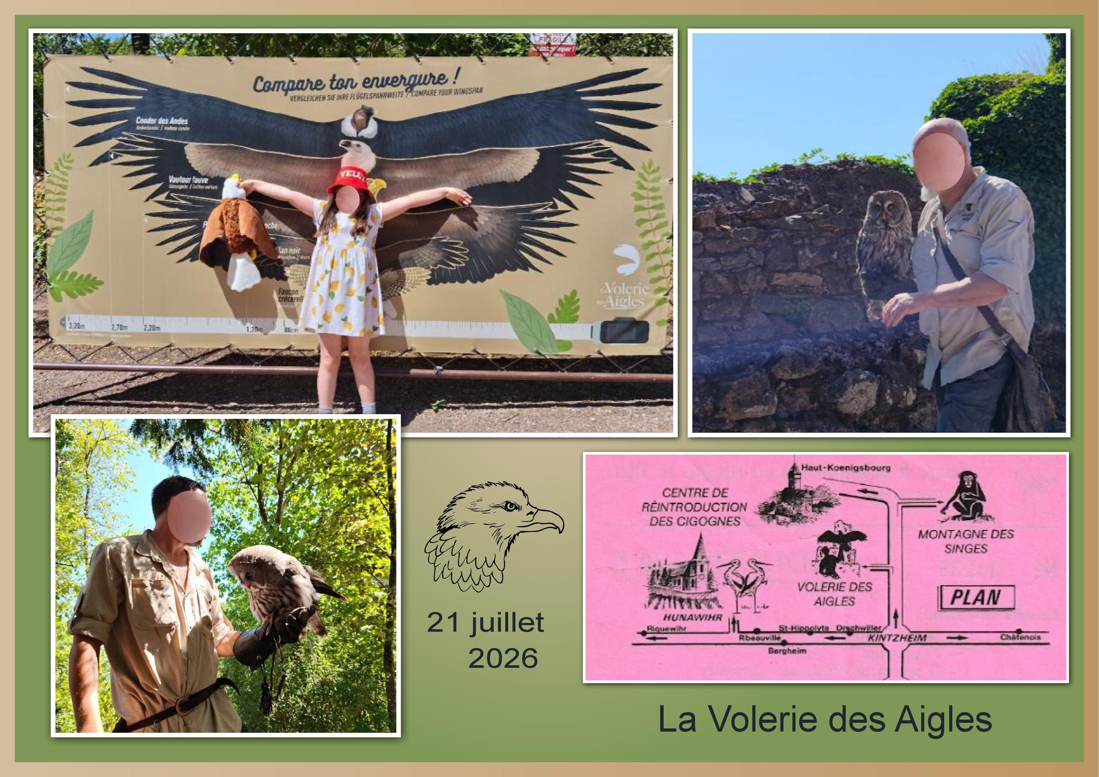 J-A52 - VOLERIE DES AIGLES.jpg