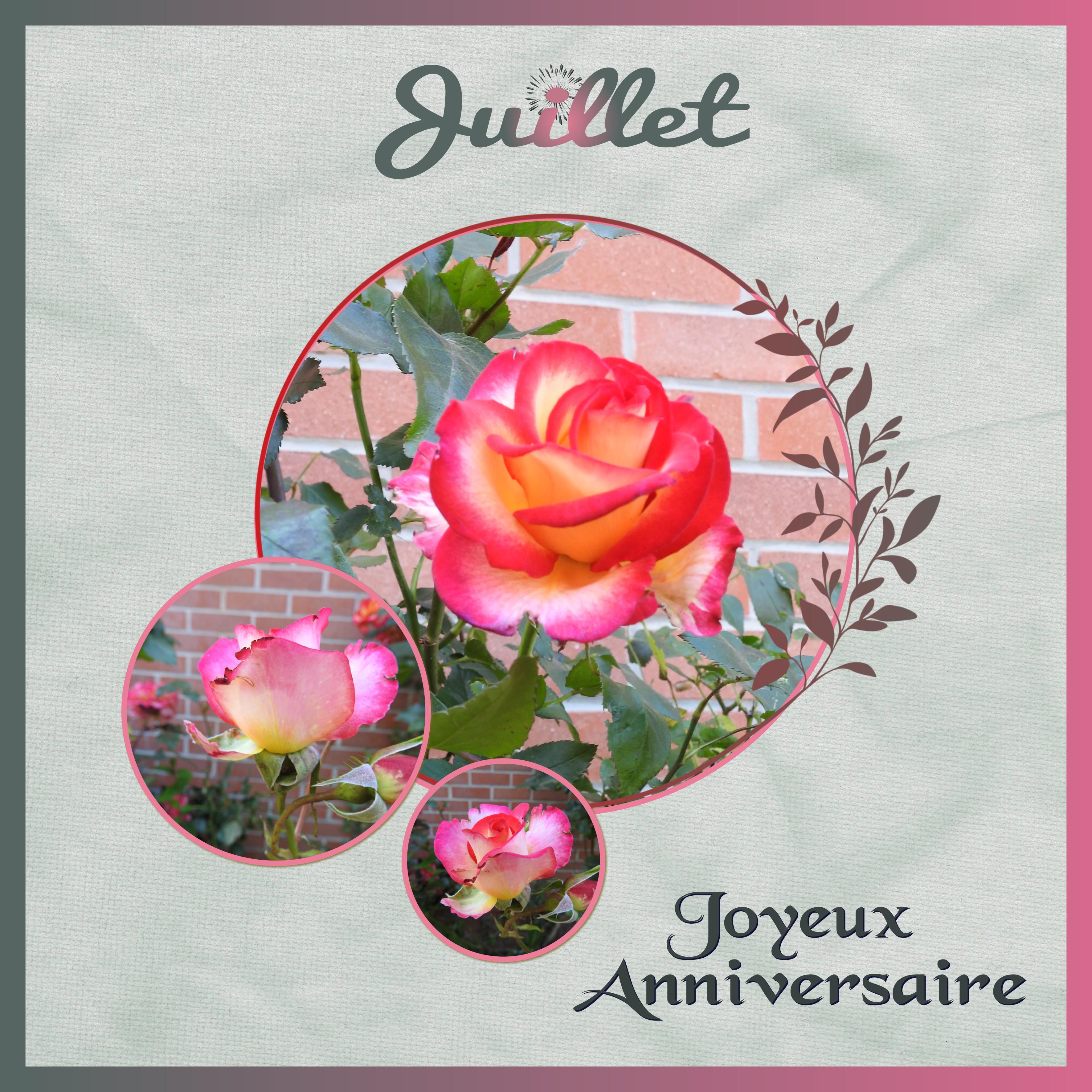 J-a53 - JOYEUX ANNIVERSAIRE.jpg